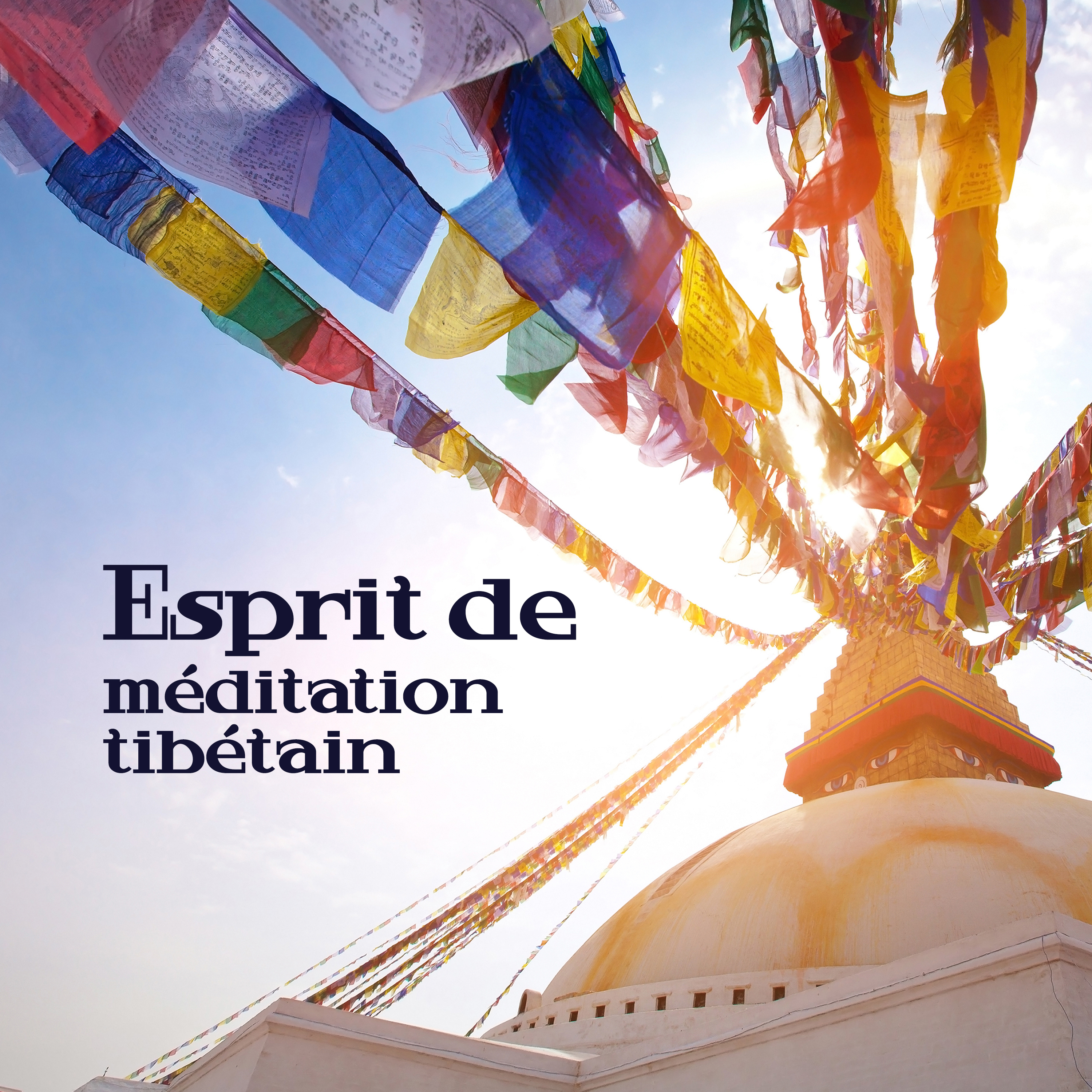 Esprit de méditation tibétain