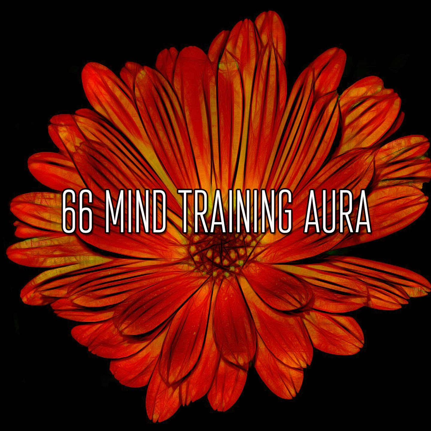 66 Mind Training Aura