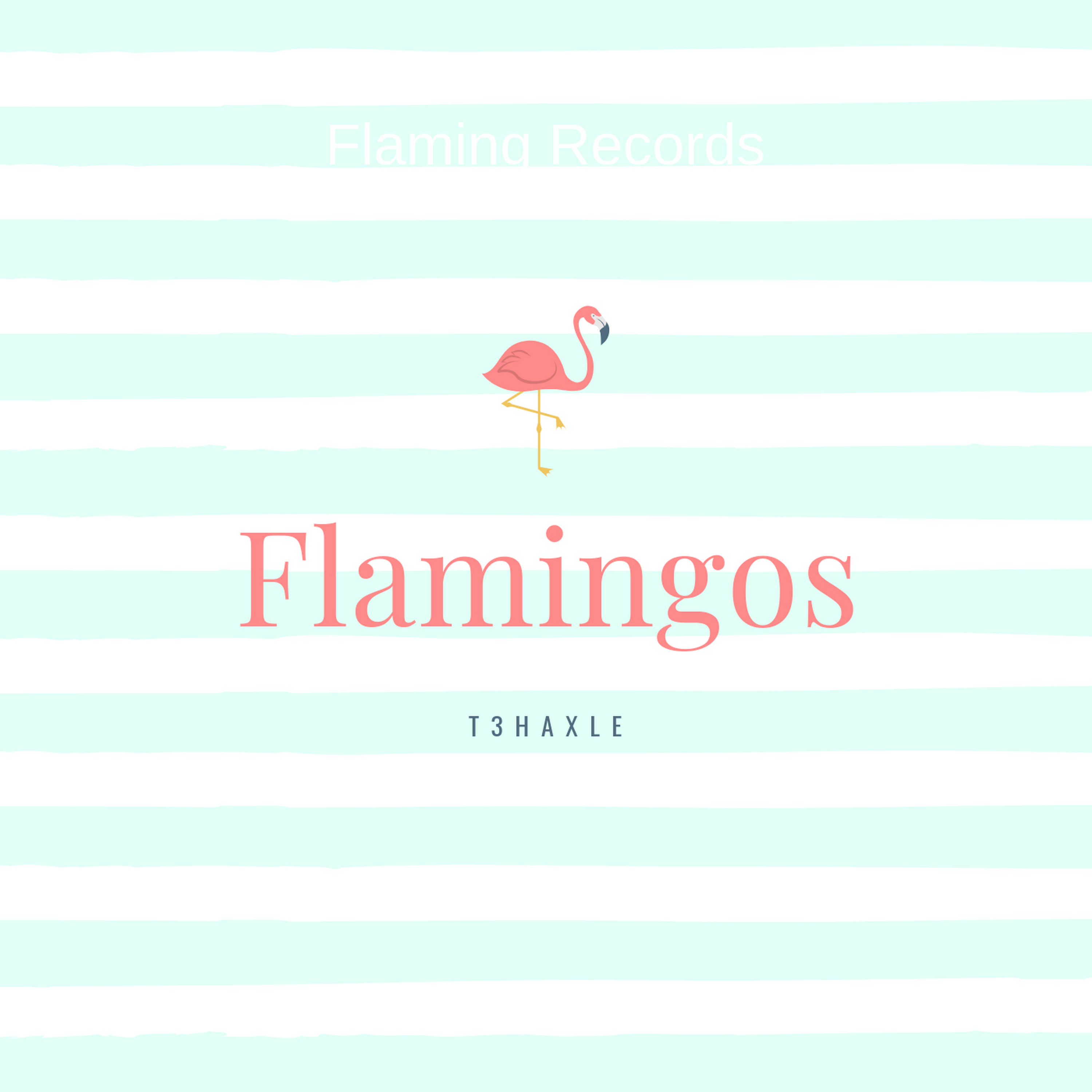 Flamingos