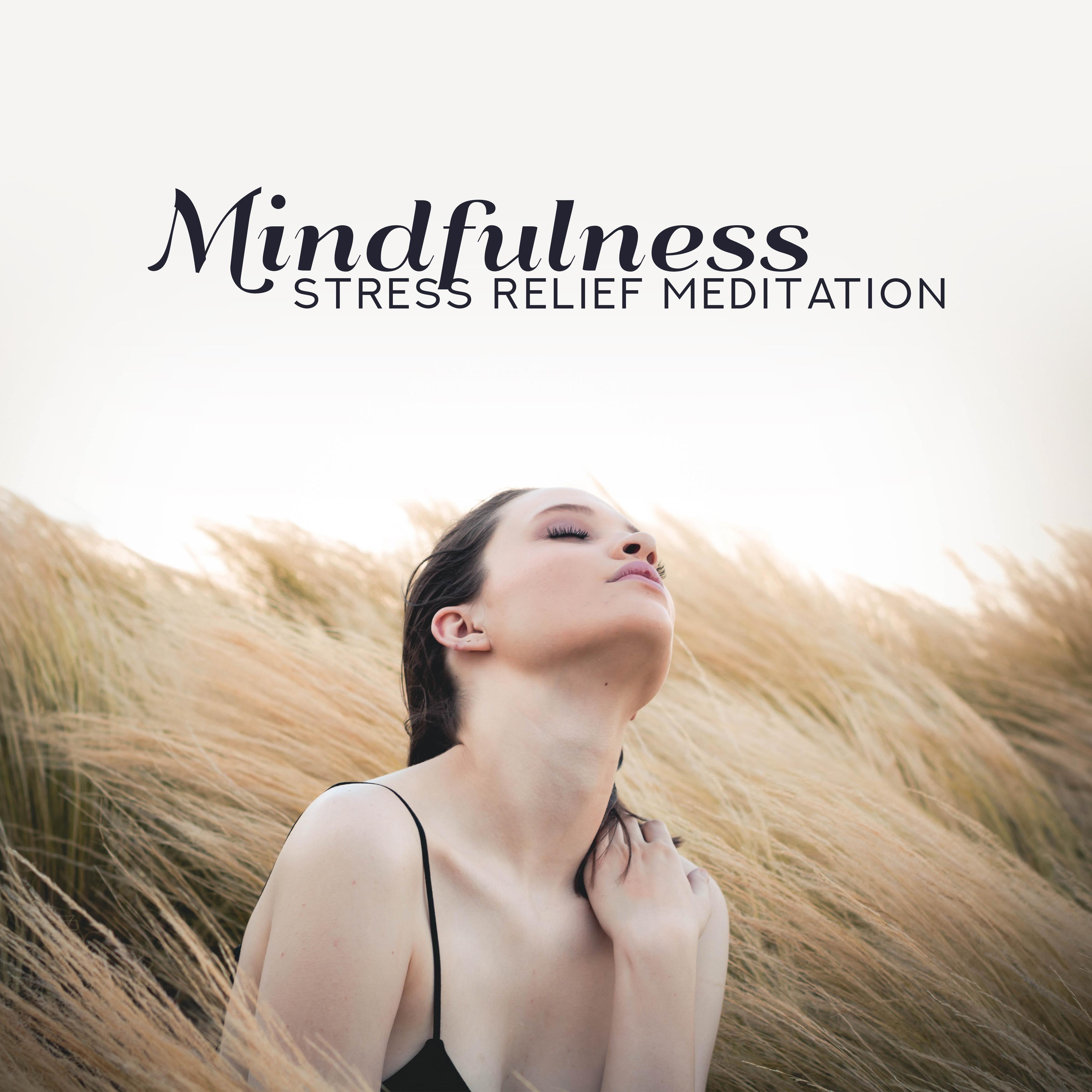 Mindfulness Stress Relief Meditation – New Age Relaxing Music to Fight with Stress & Depression