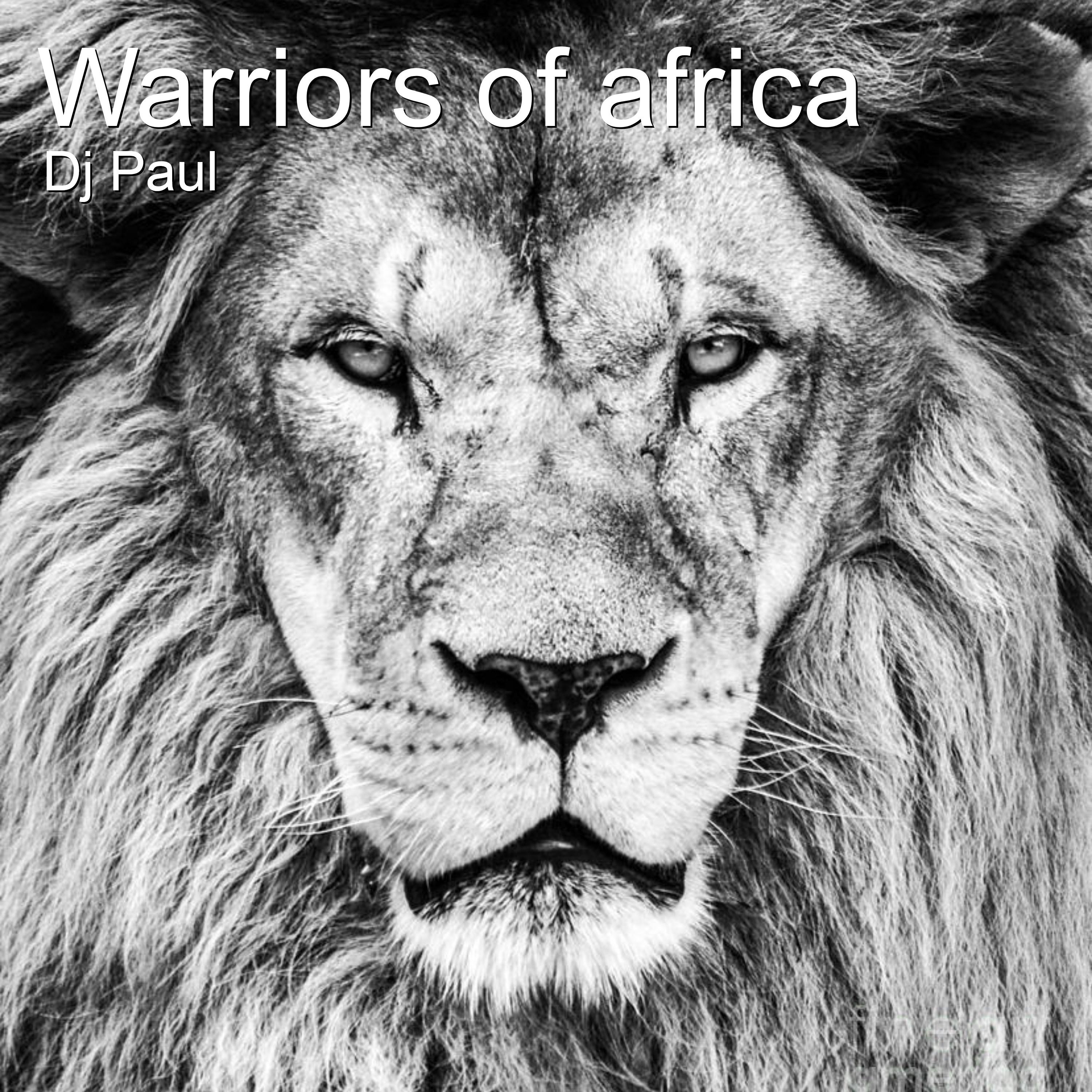 Warriors of Africa