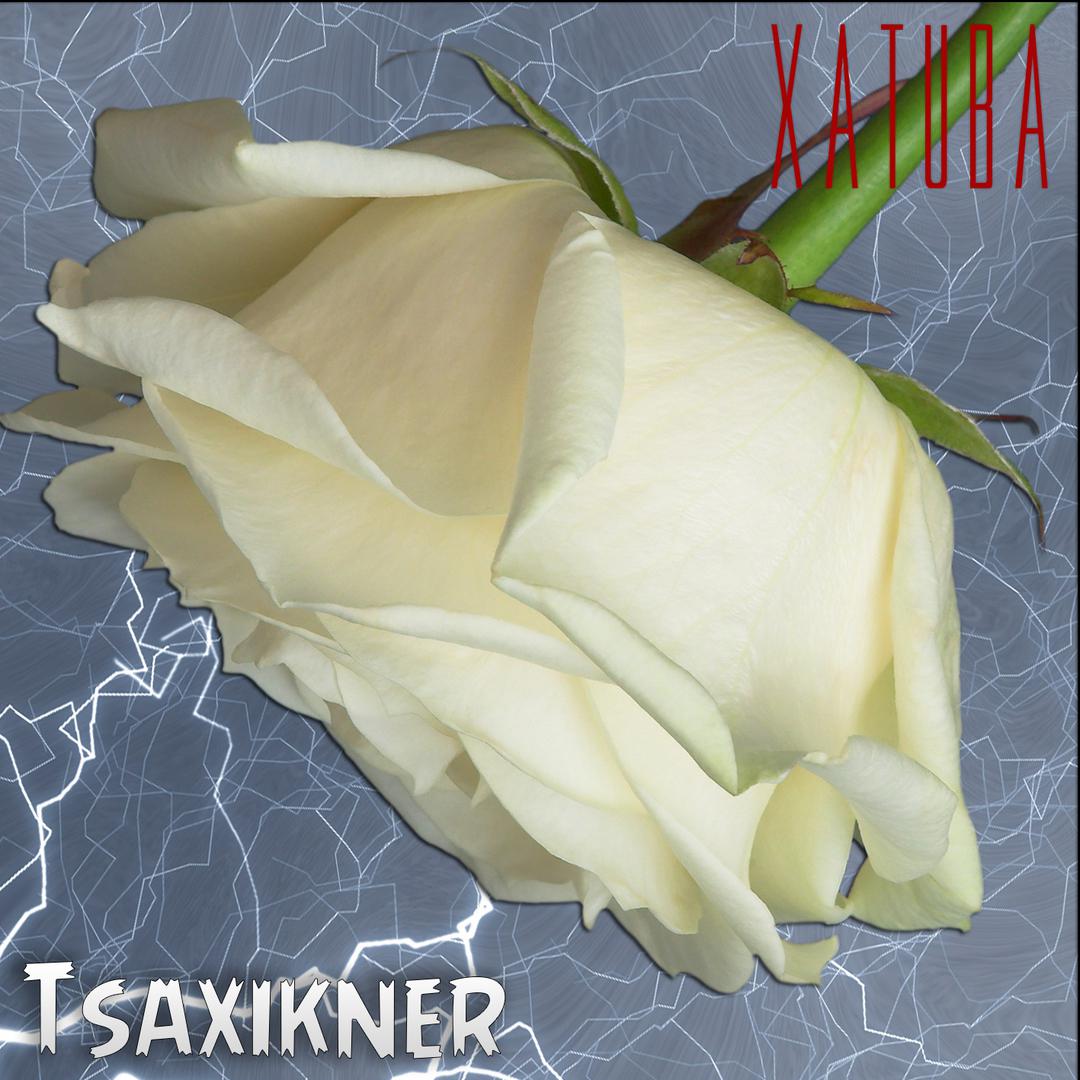 Tsaxikner