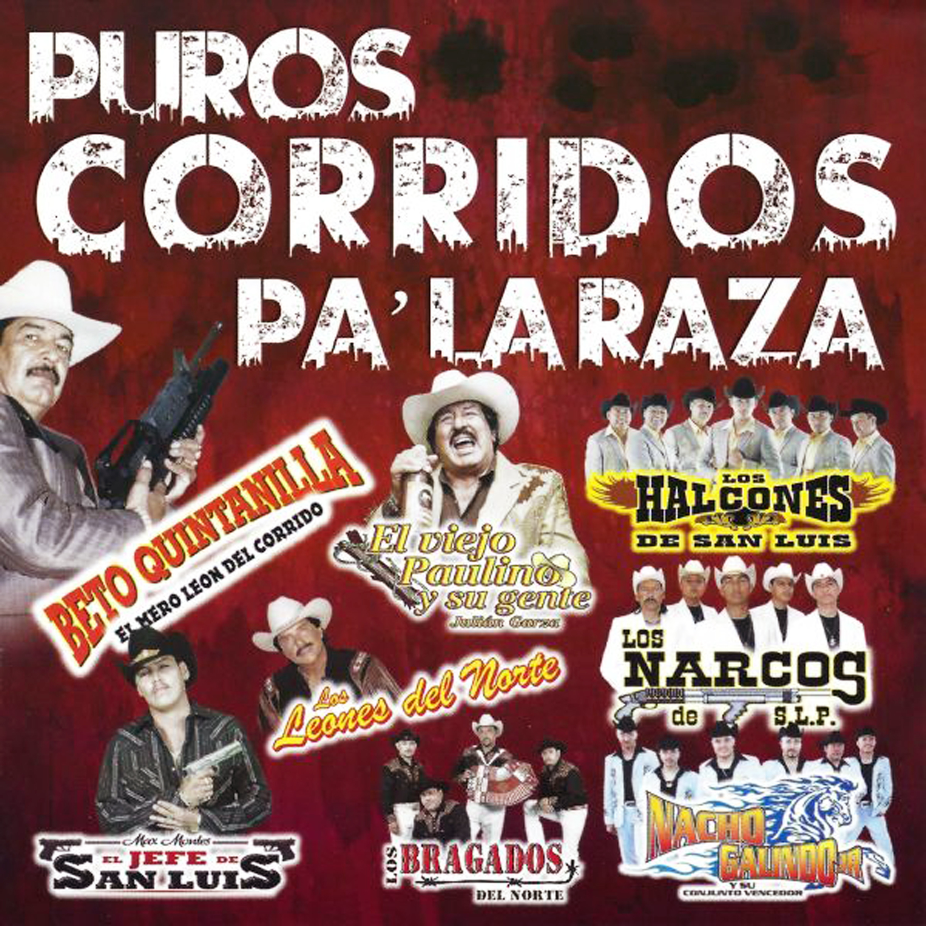 Puros Corridos Pa' La Raza