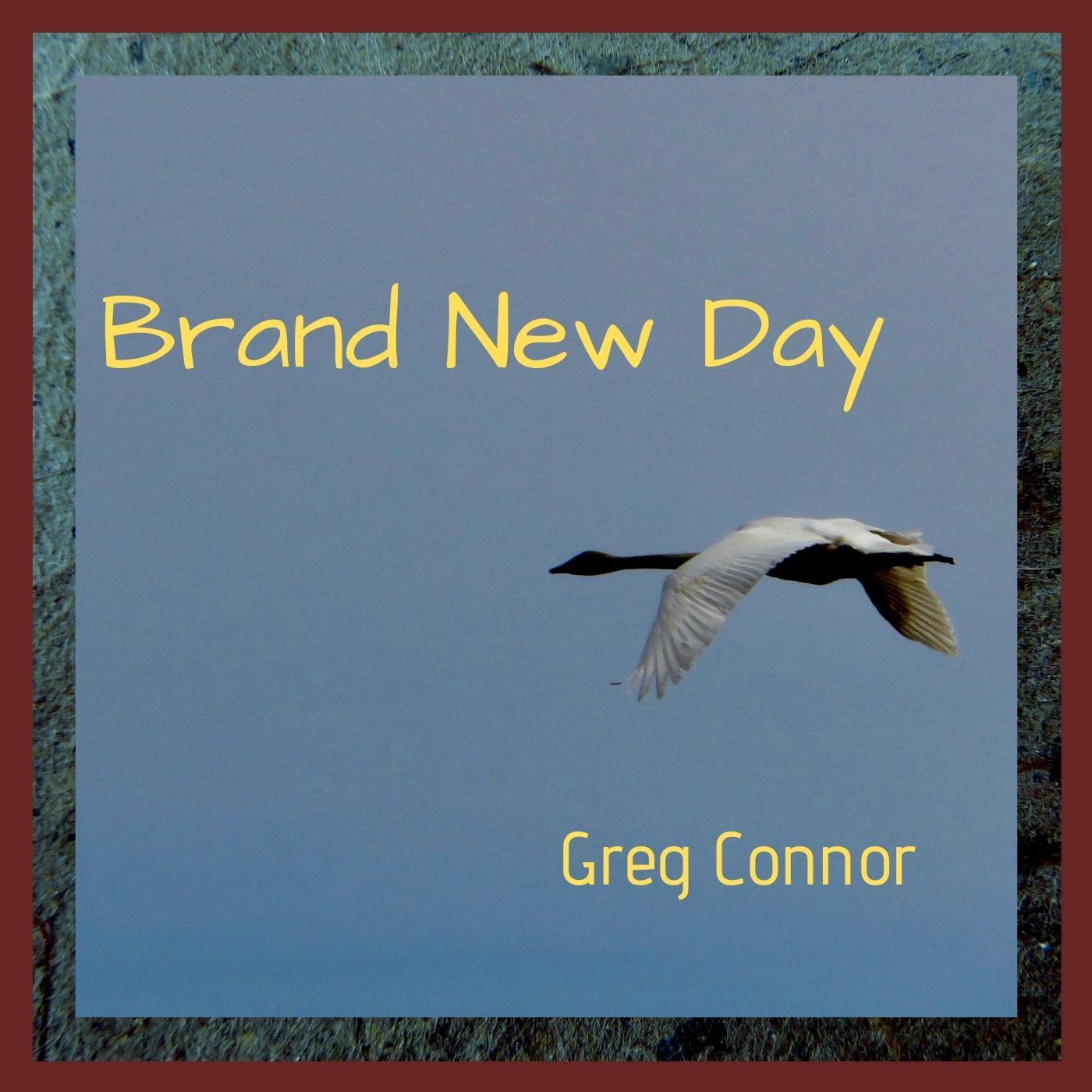 Brand New Day