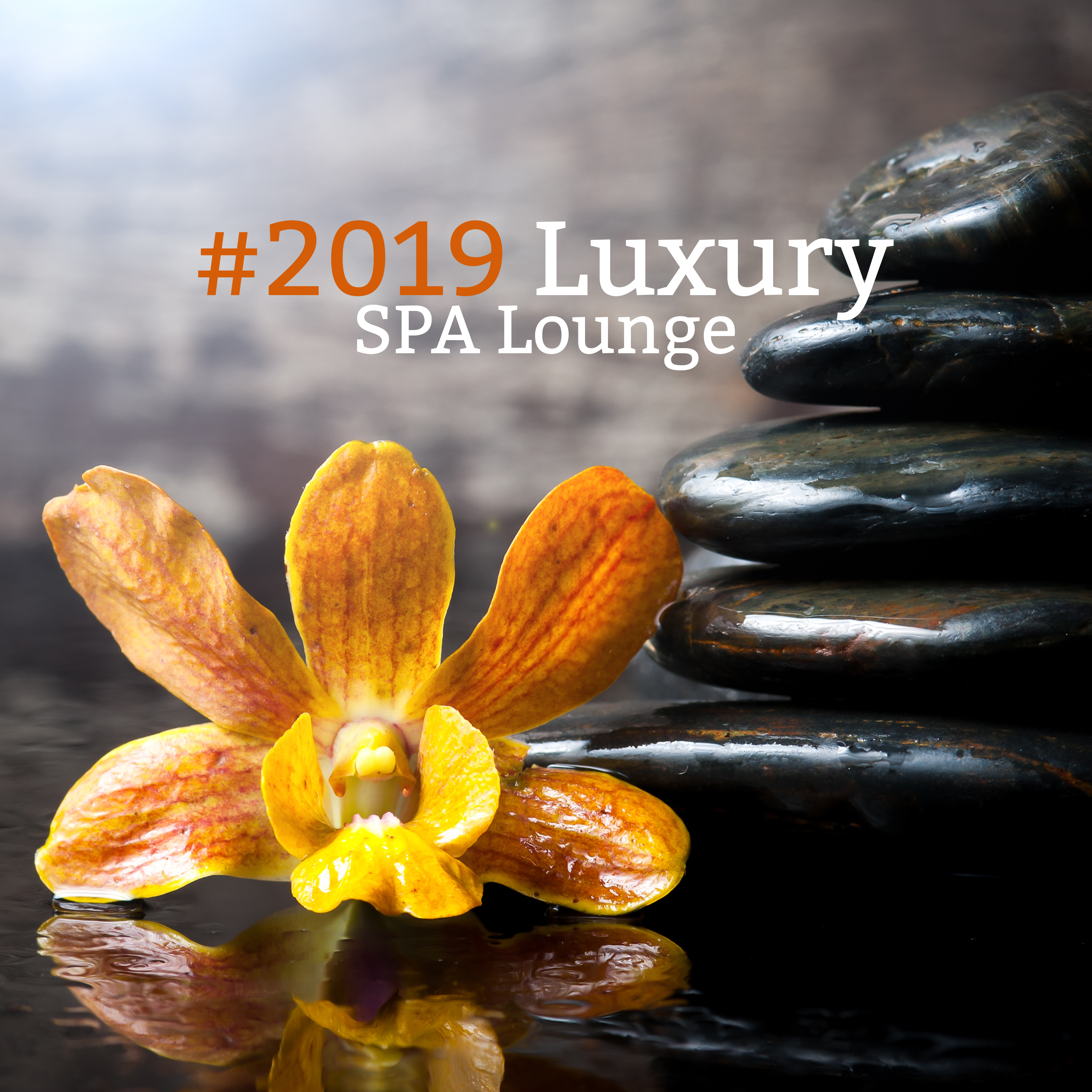 #2019 Luxury SPA Lounge – Chill Out for Spa & Wellness, Massage, Relax, Zen Lounge, Ultimate Wellness Resort Boutique
