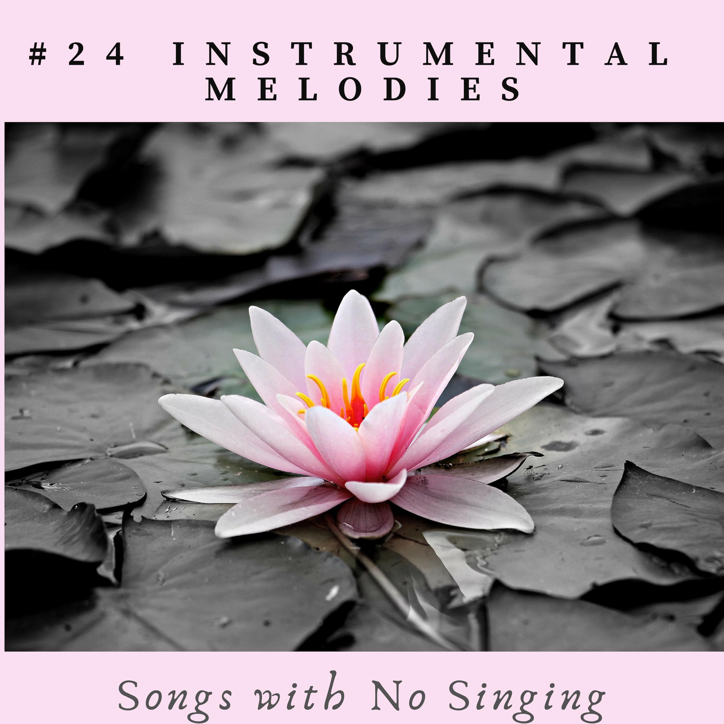 #24 Instrumental Melodies