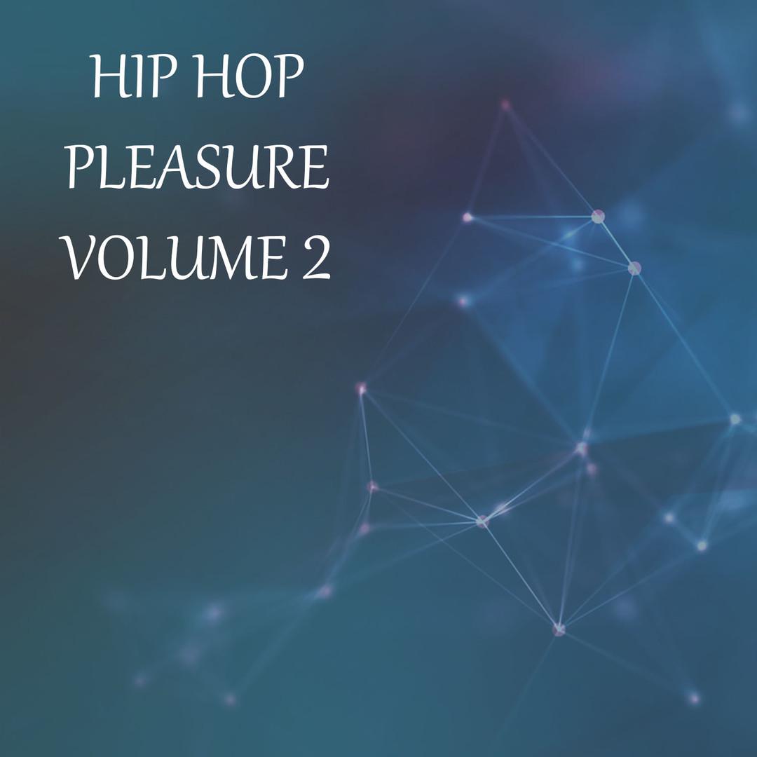 Hip Hop Pleasure, Vol. 2