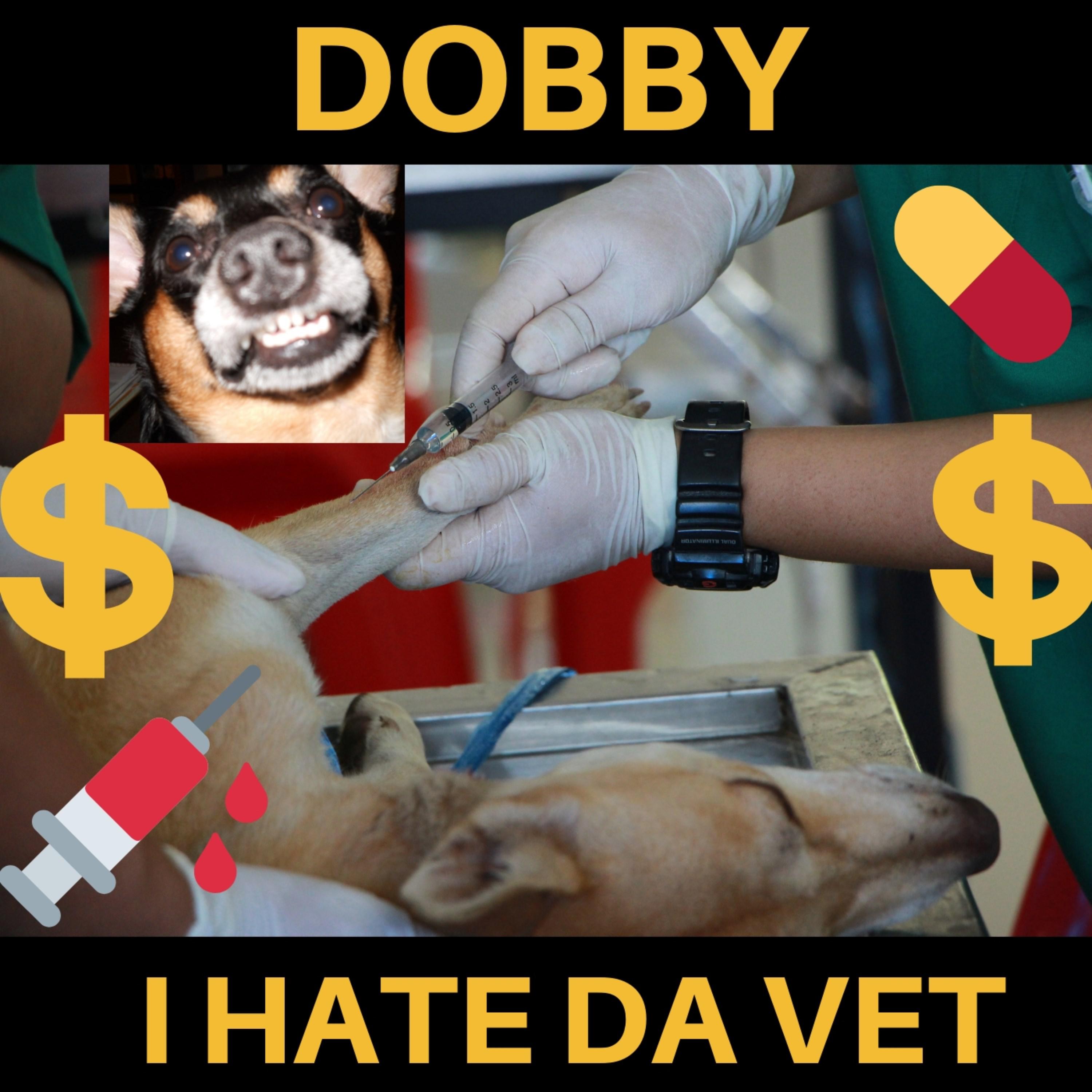 Dobby - I Hate Da Vet