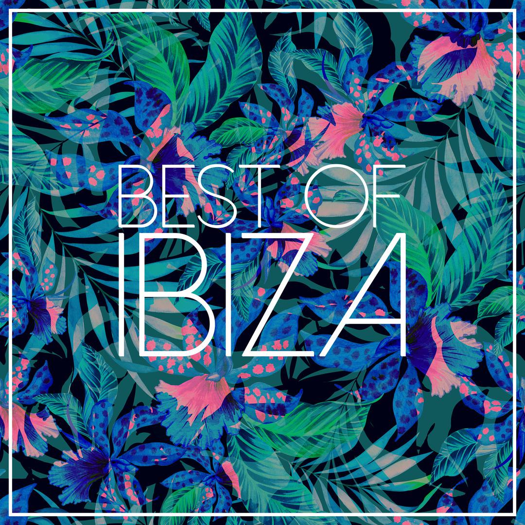 Best Of Ibiza 2015