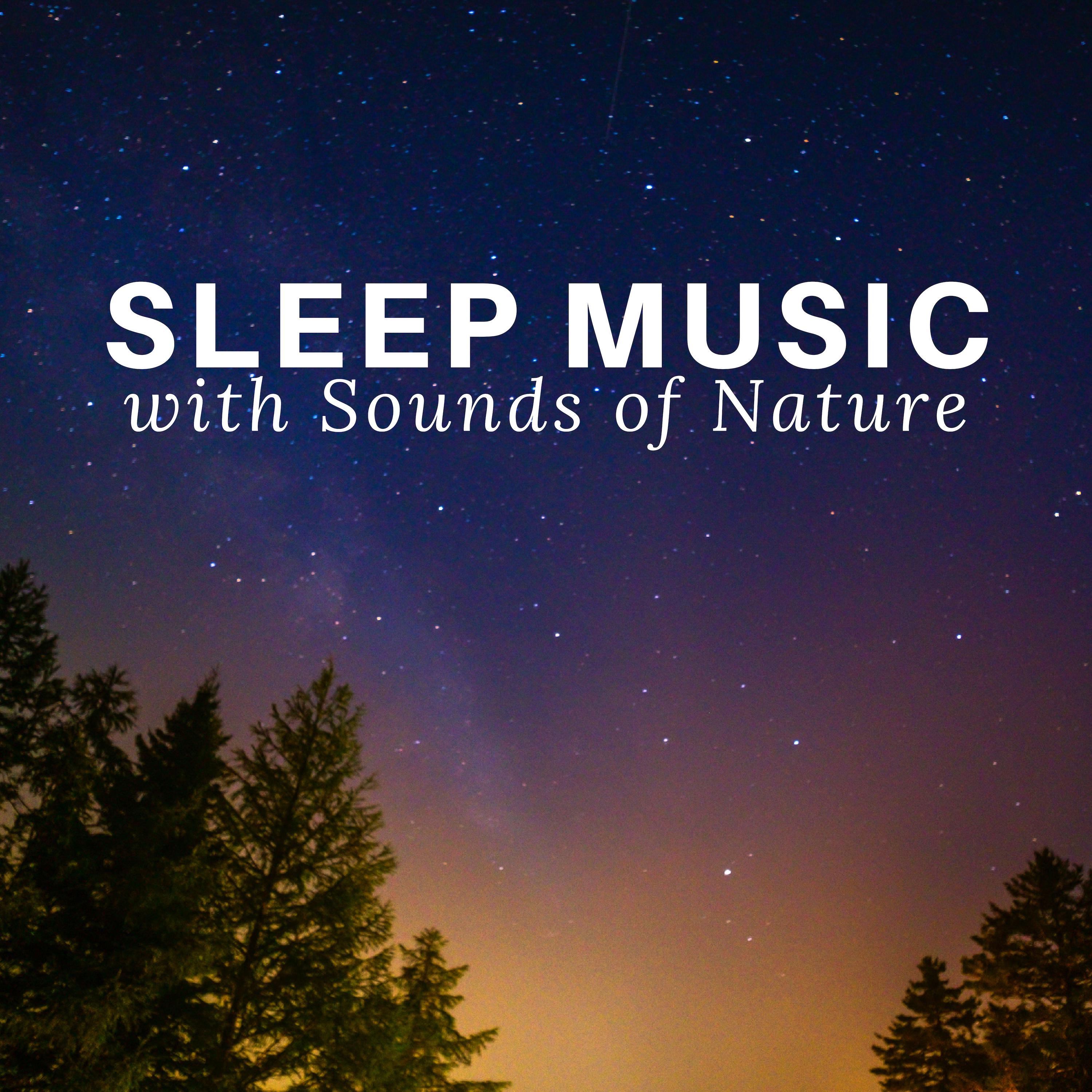 Sleep Music with Sounds of Nature - CD to Help Sleep All Through the Night