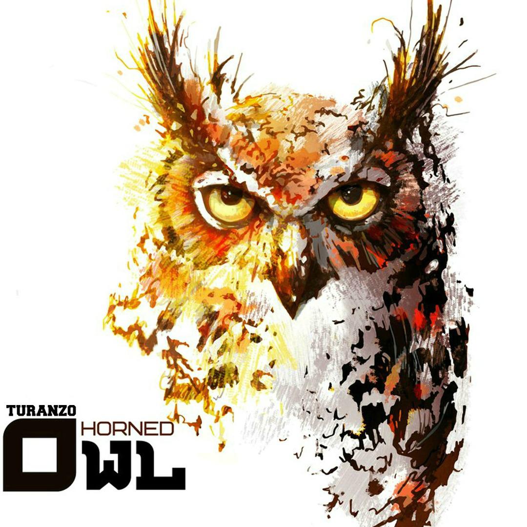 Horned Owl