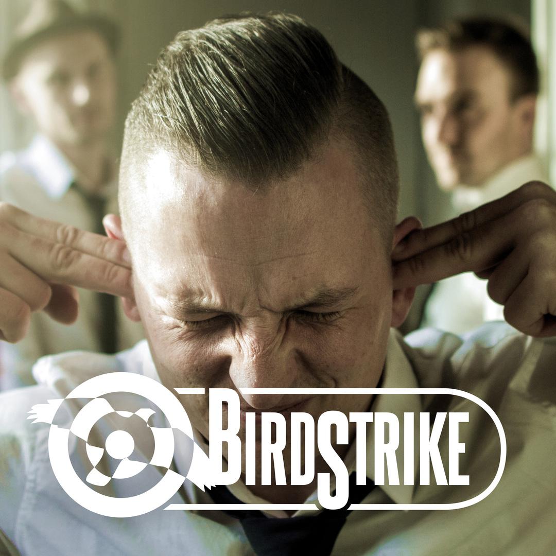 Birdstrike