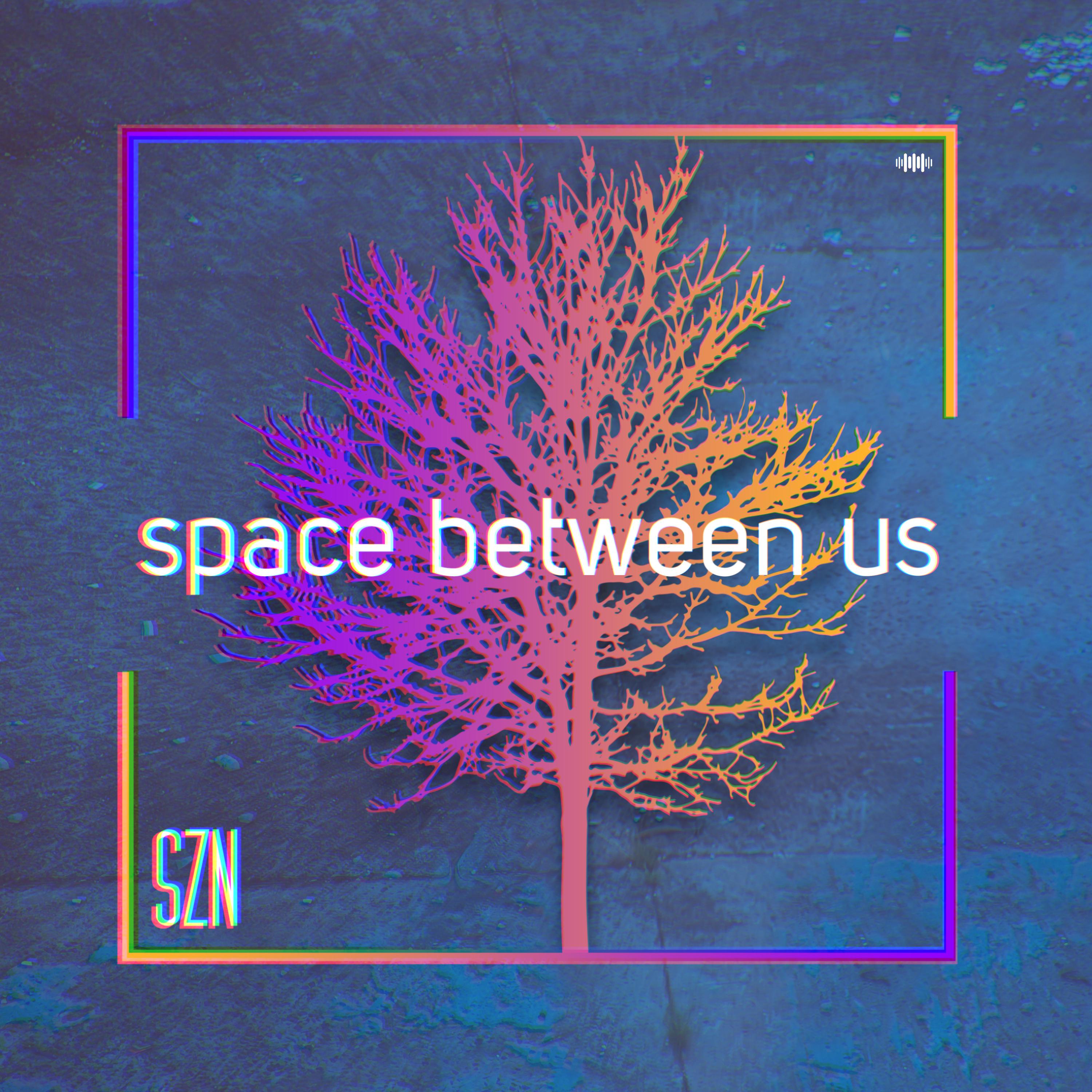 Space Between Us