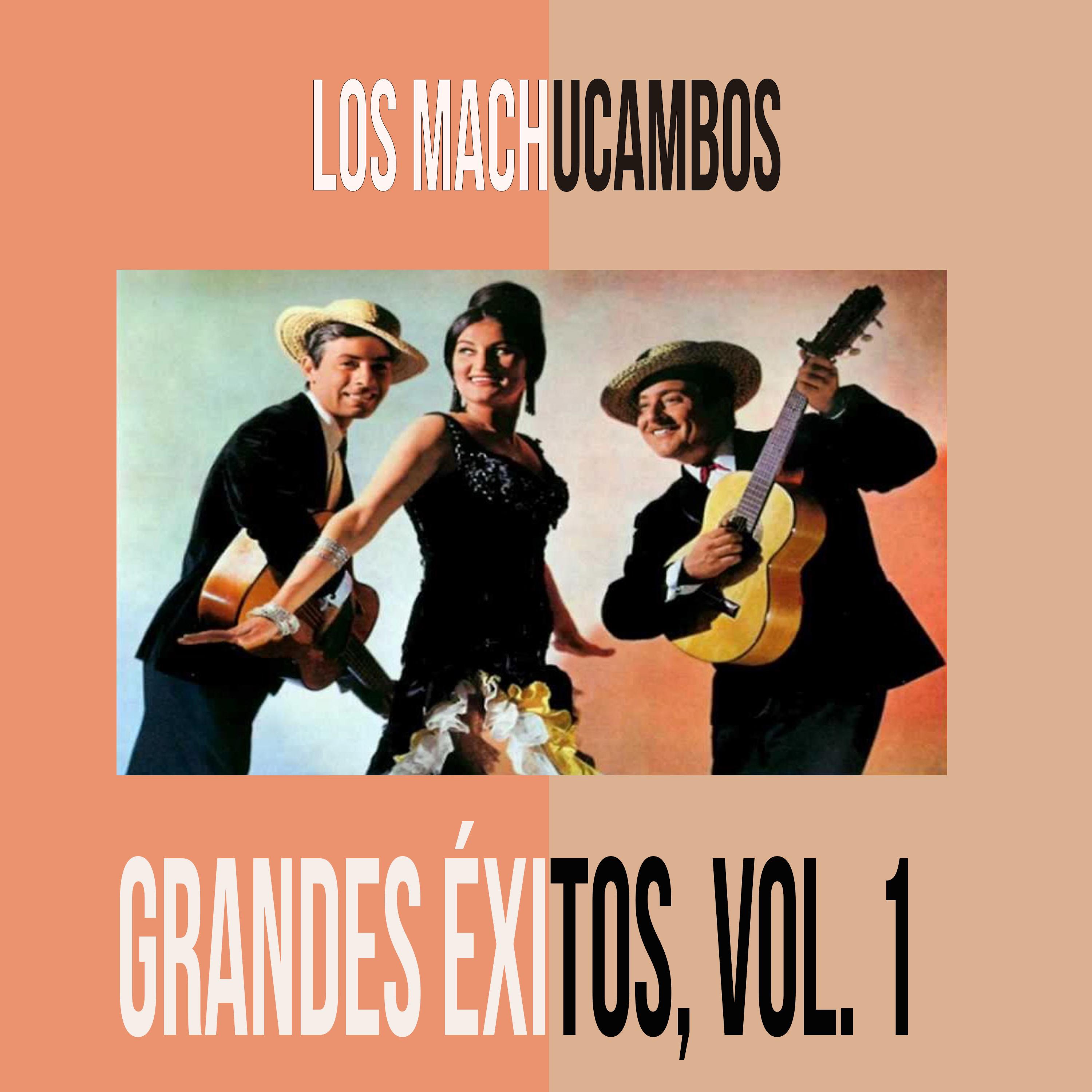 Los Machucambos - Grandes Éxitos, Vol. 1