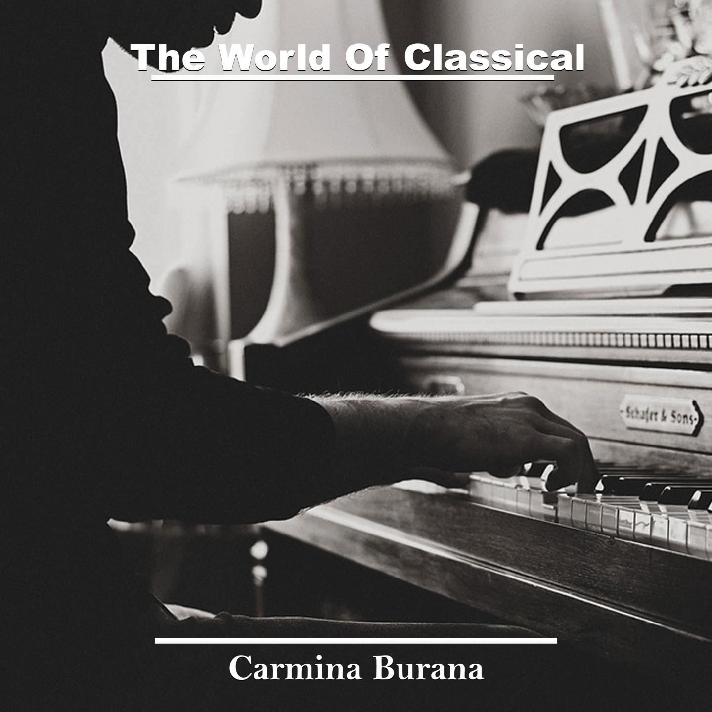 The World Of Classical Music