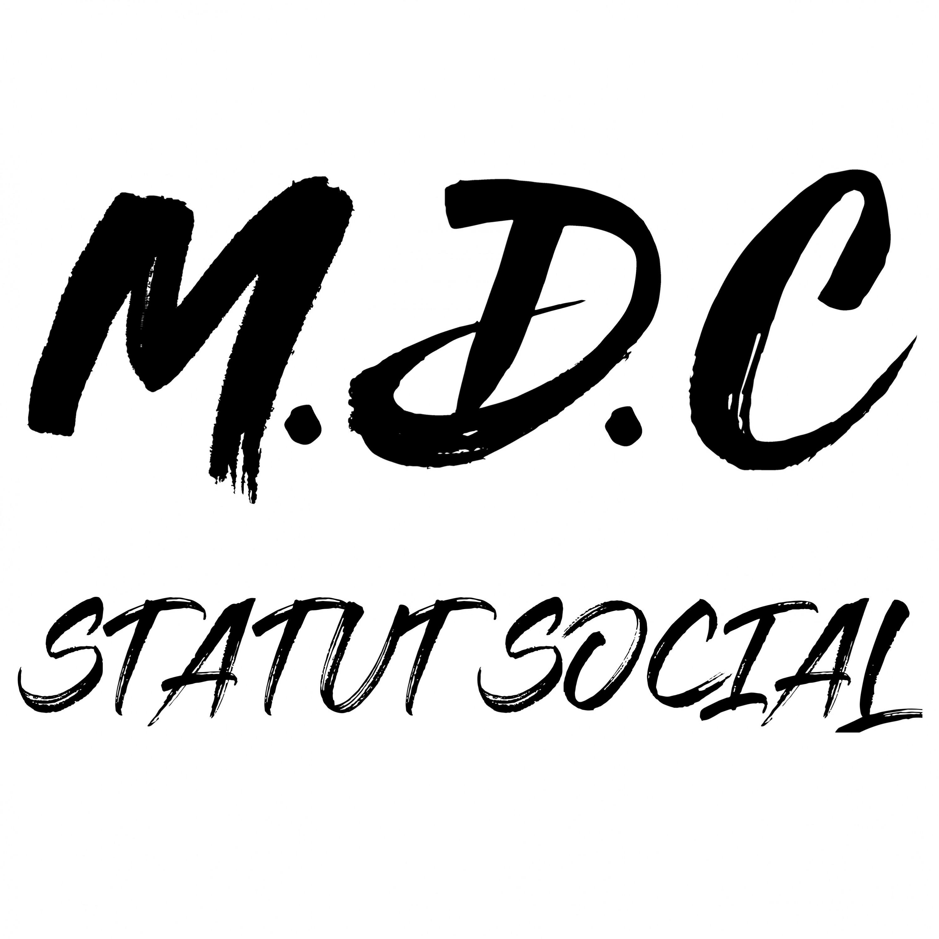 Statut social