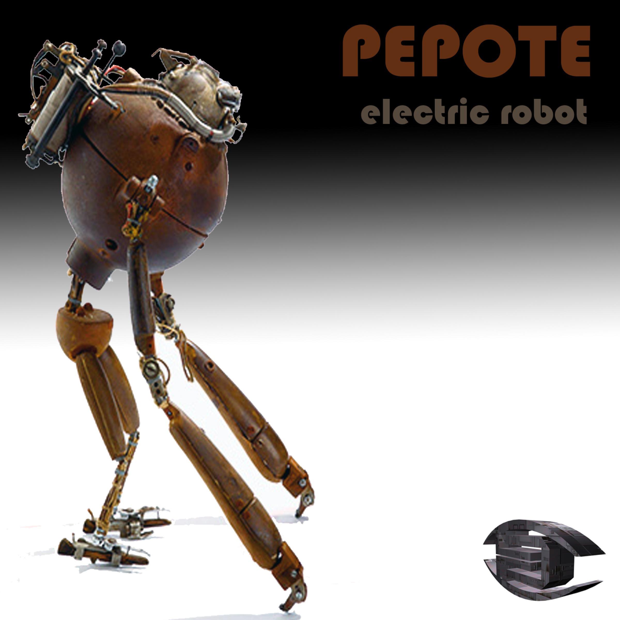 Electric Robot