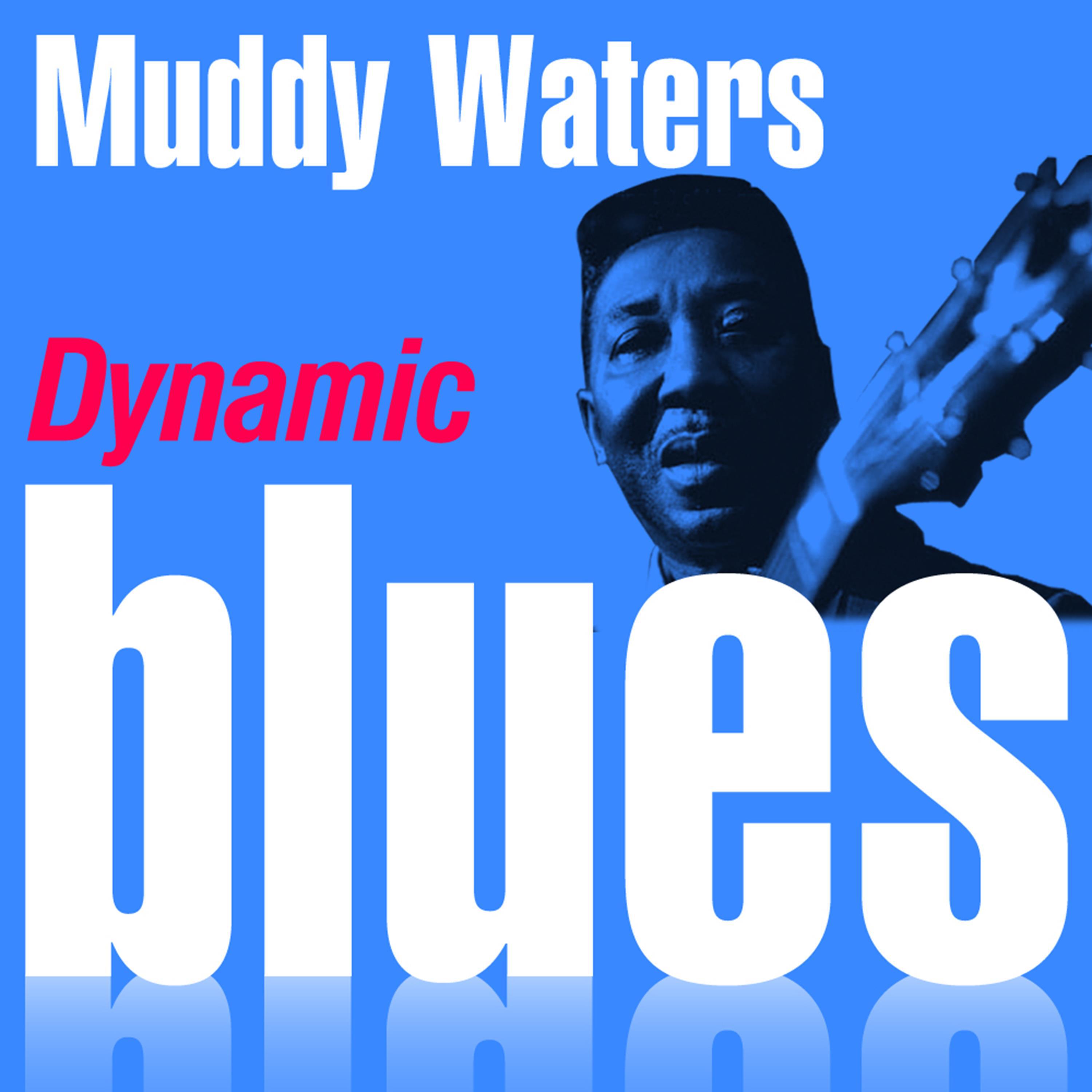 Dynamic Blues - Muddy Waters: 50 Essential Tracks