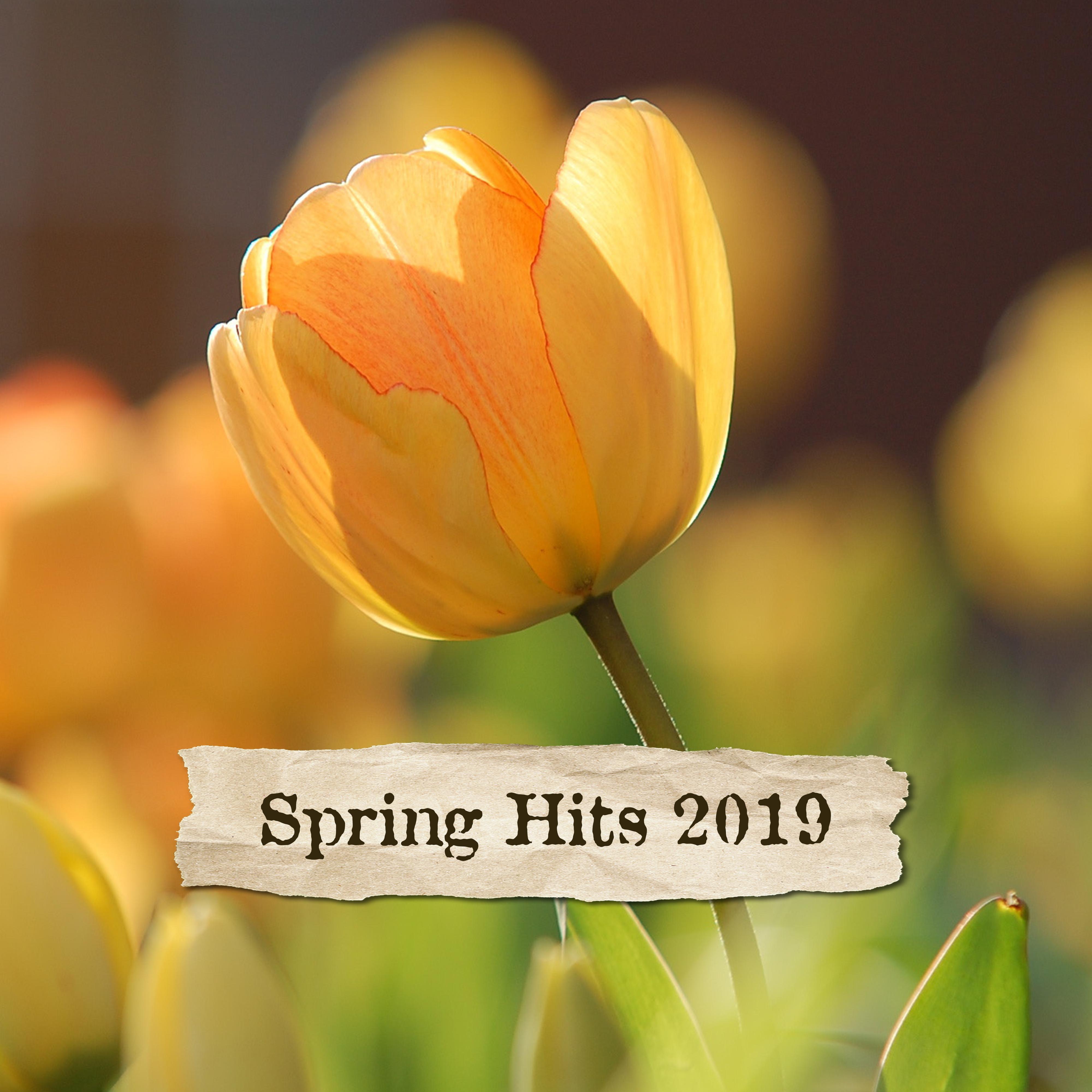 Spring Hits 2019 – Best Chill Out 2019, Relaxing Vibes, Deep Chill, Zero Stress, Chillout Collection for Relaxation
