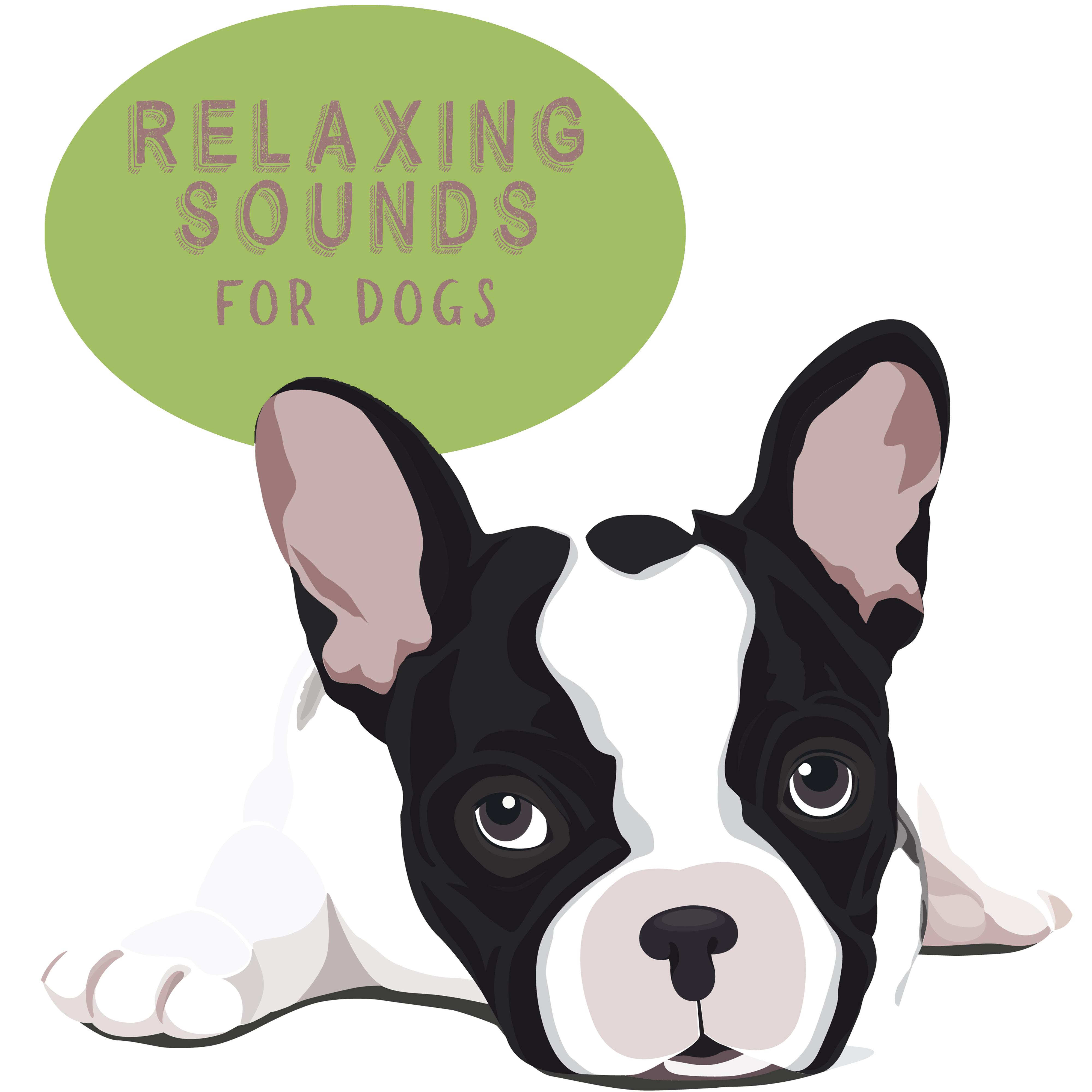 Relaxing Sounds for Dogs – Deeper Sleep, Pure Relaxation, Music for Reduce Stress