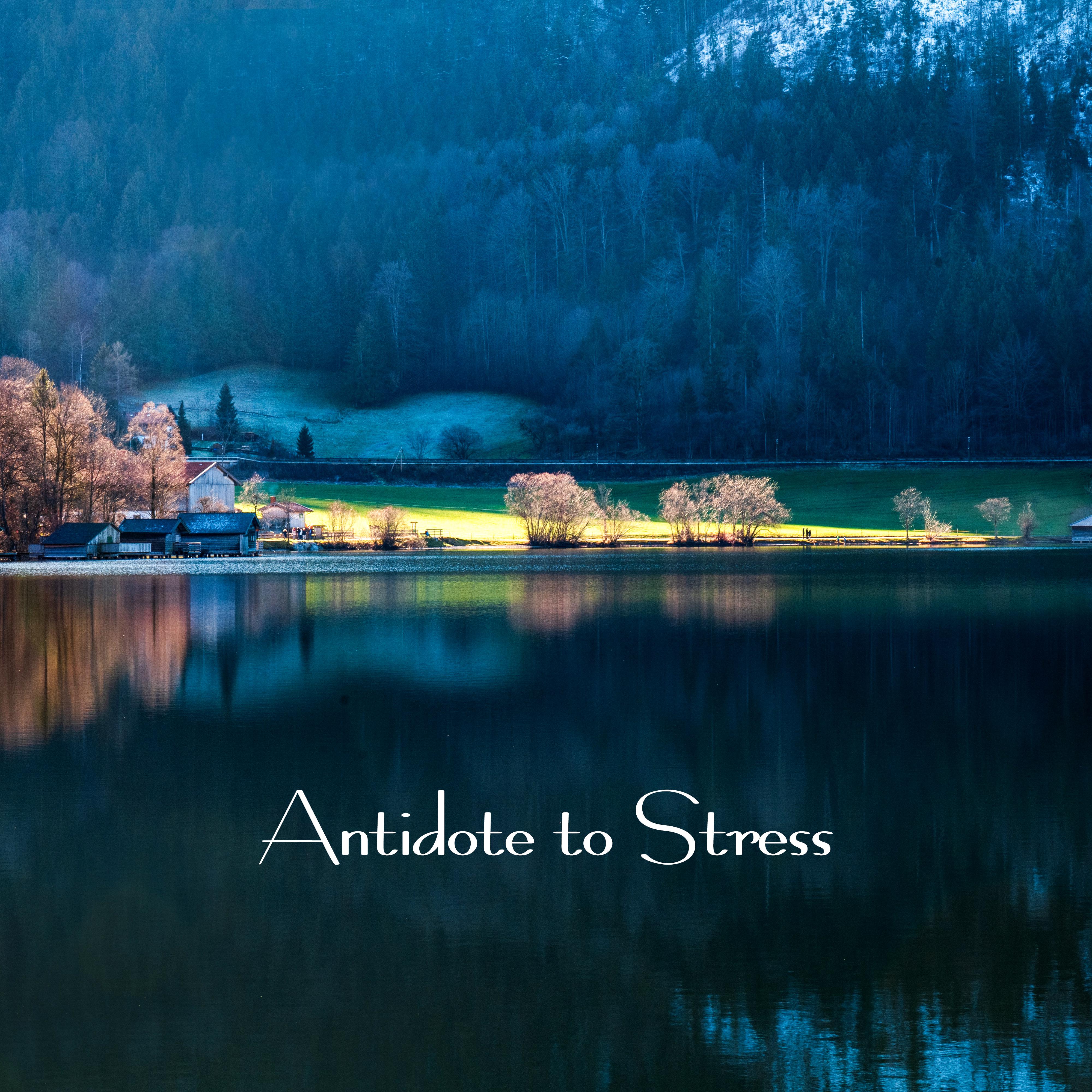 Antidote to Stress: Soothing Music of Nature for Troubled Nerves, Stress, Negative Emotions and Anger