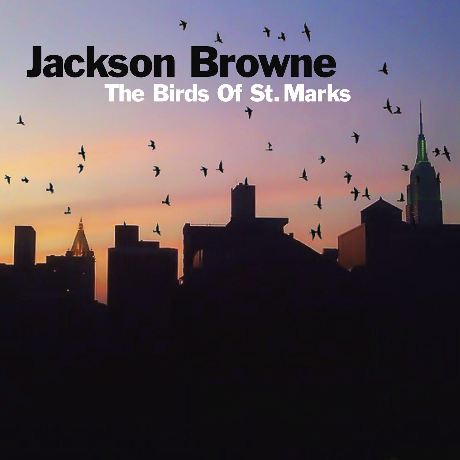 The Birds Of St. Marks