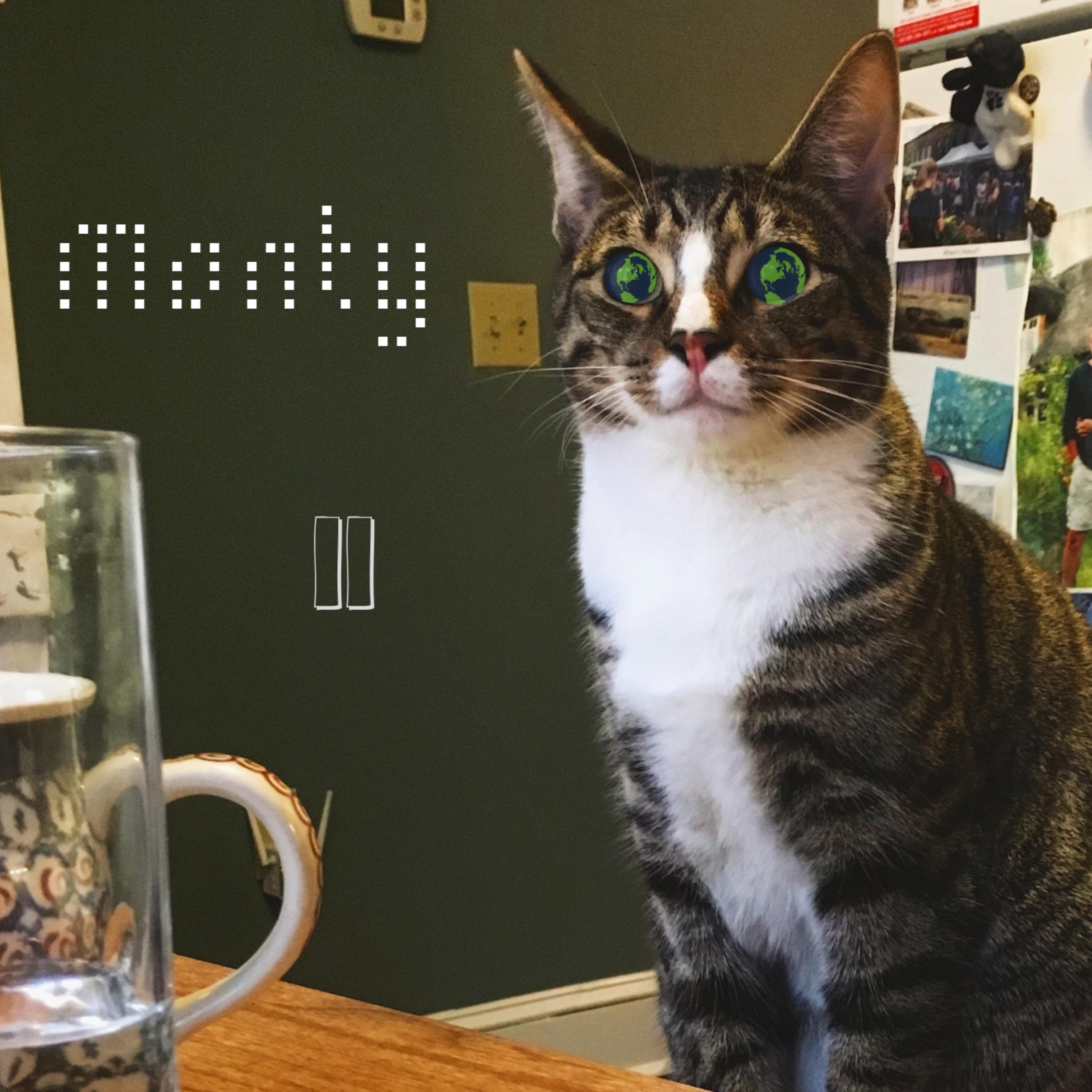 Monty II