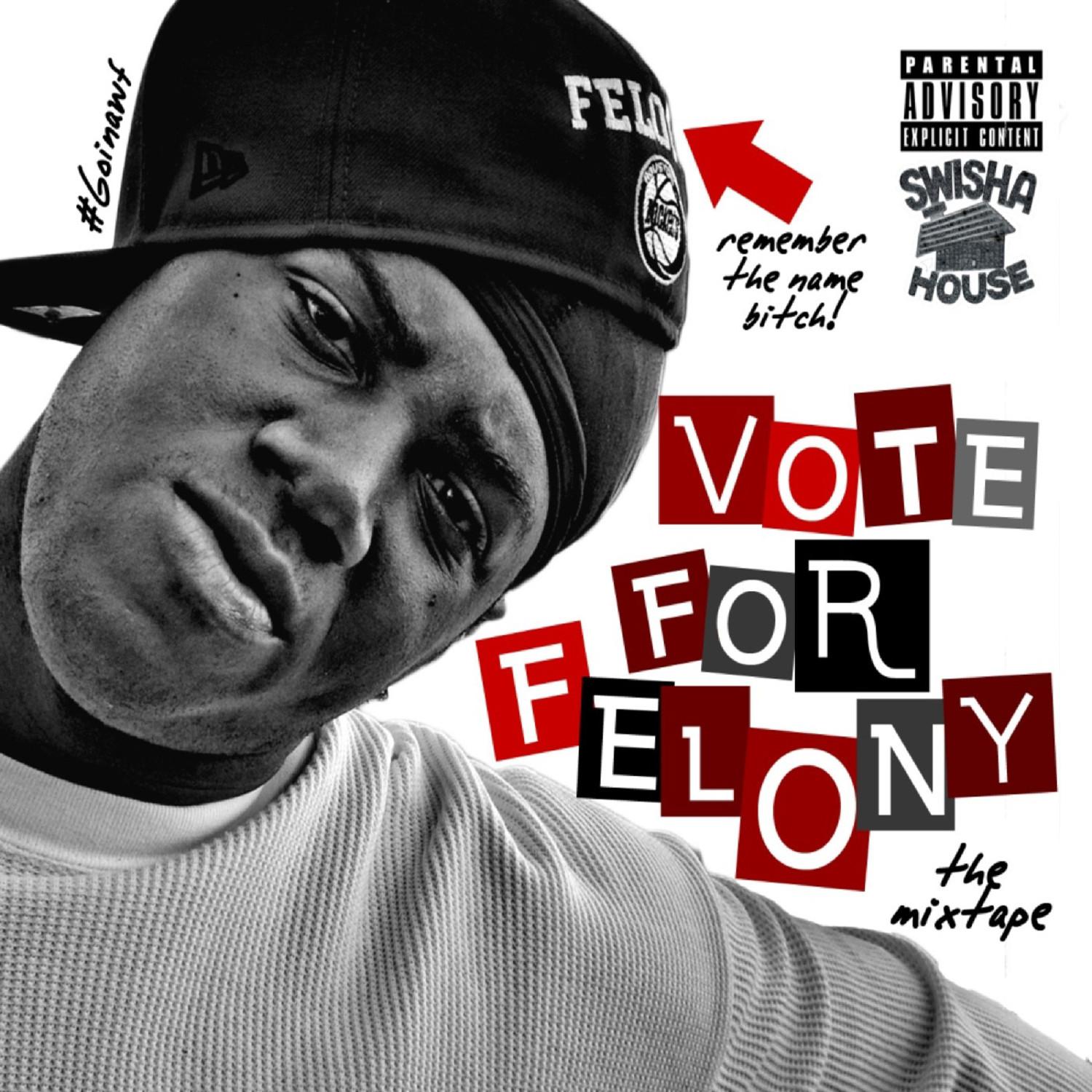 Vote For Felony