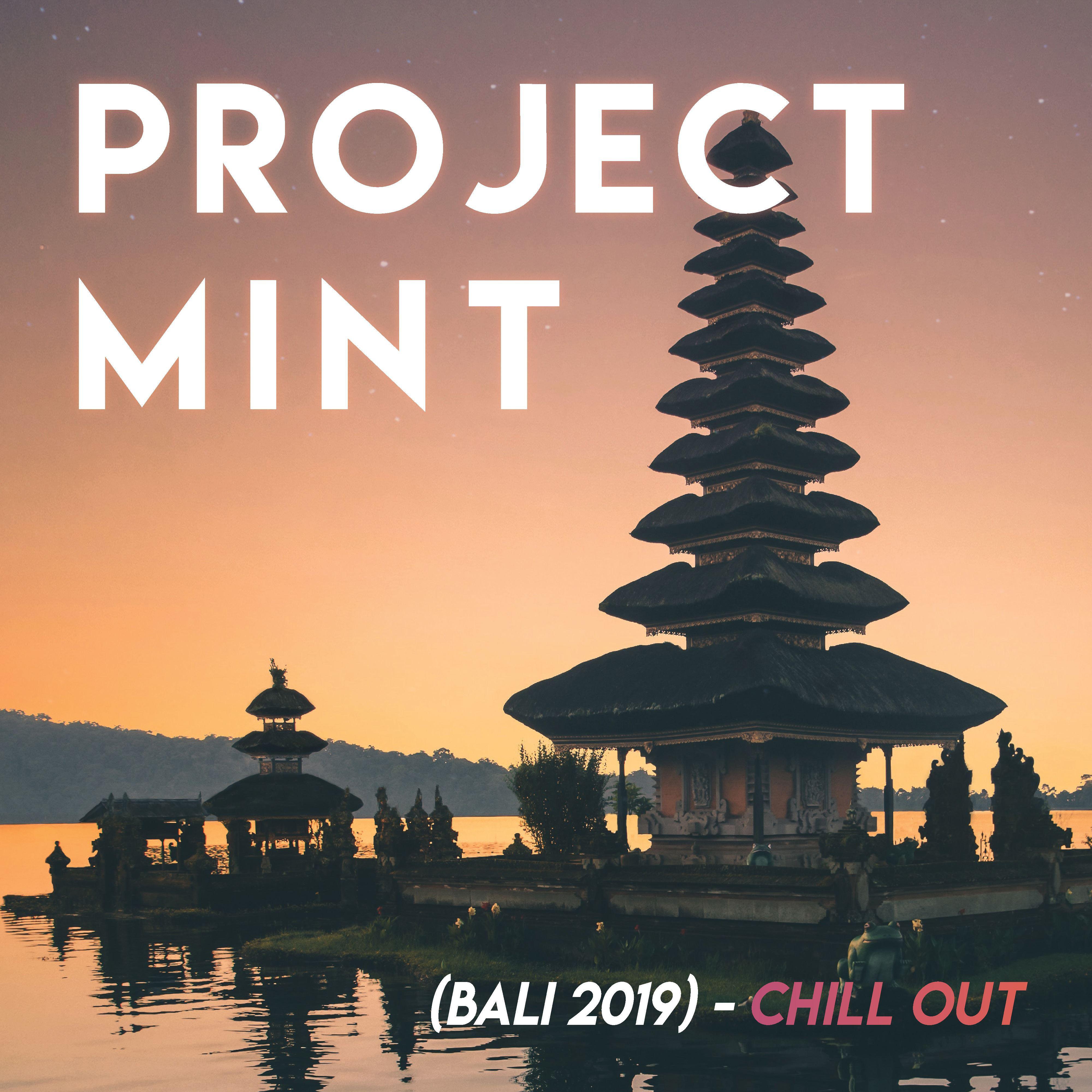 Project Mint (Bali 2019) - Finest Grooves