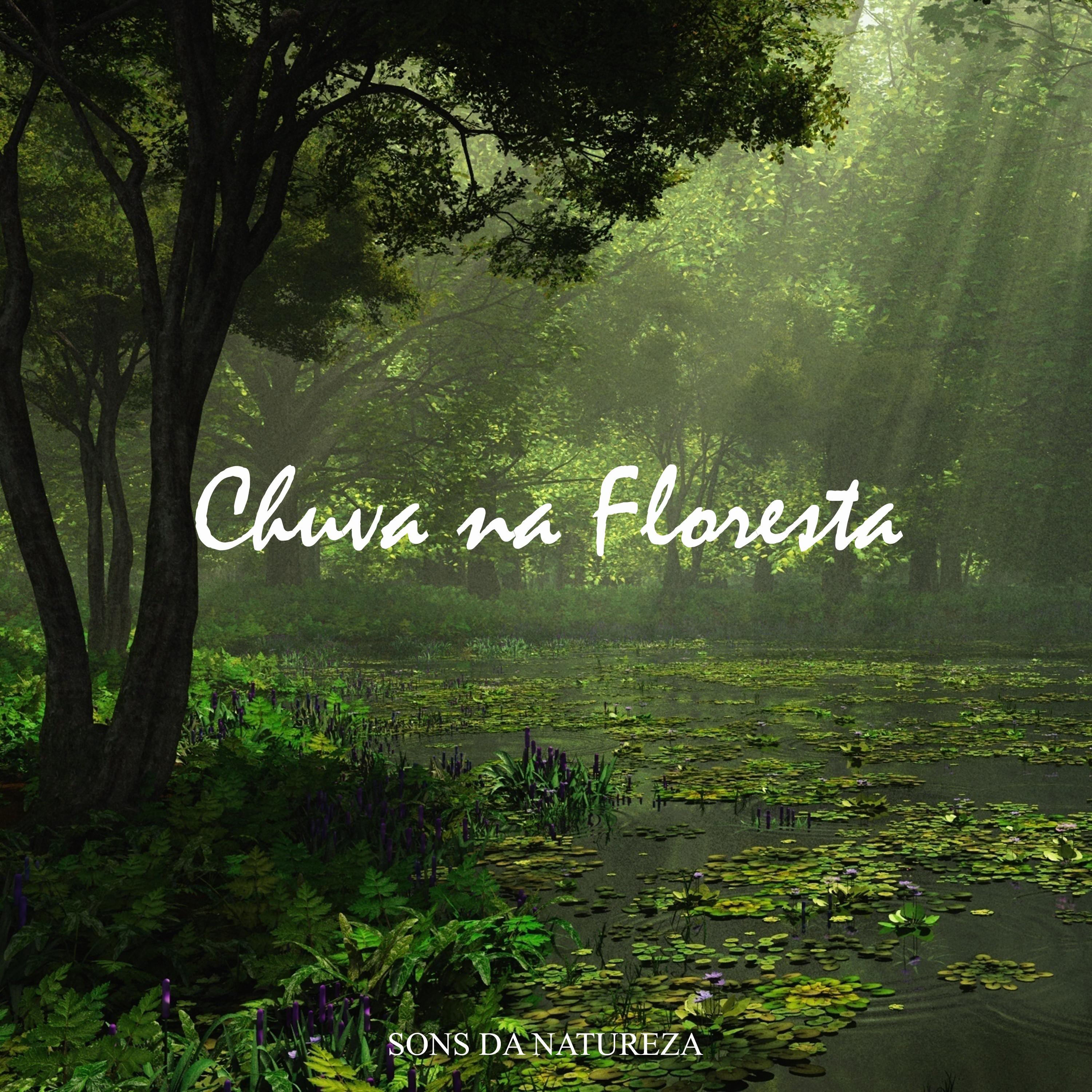 Sons da Natureza: Chuva na Floresta