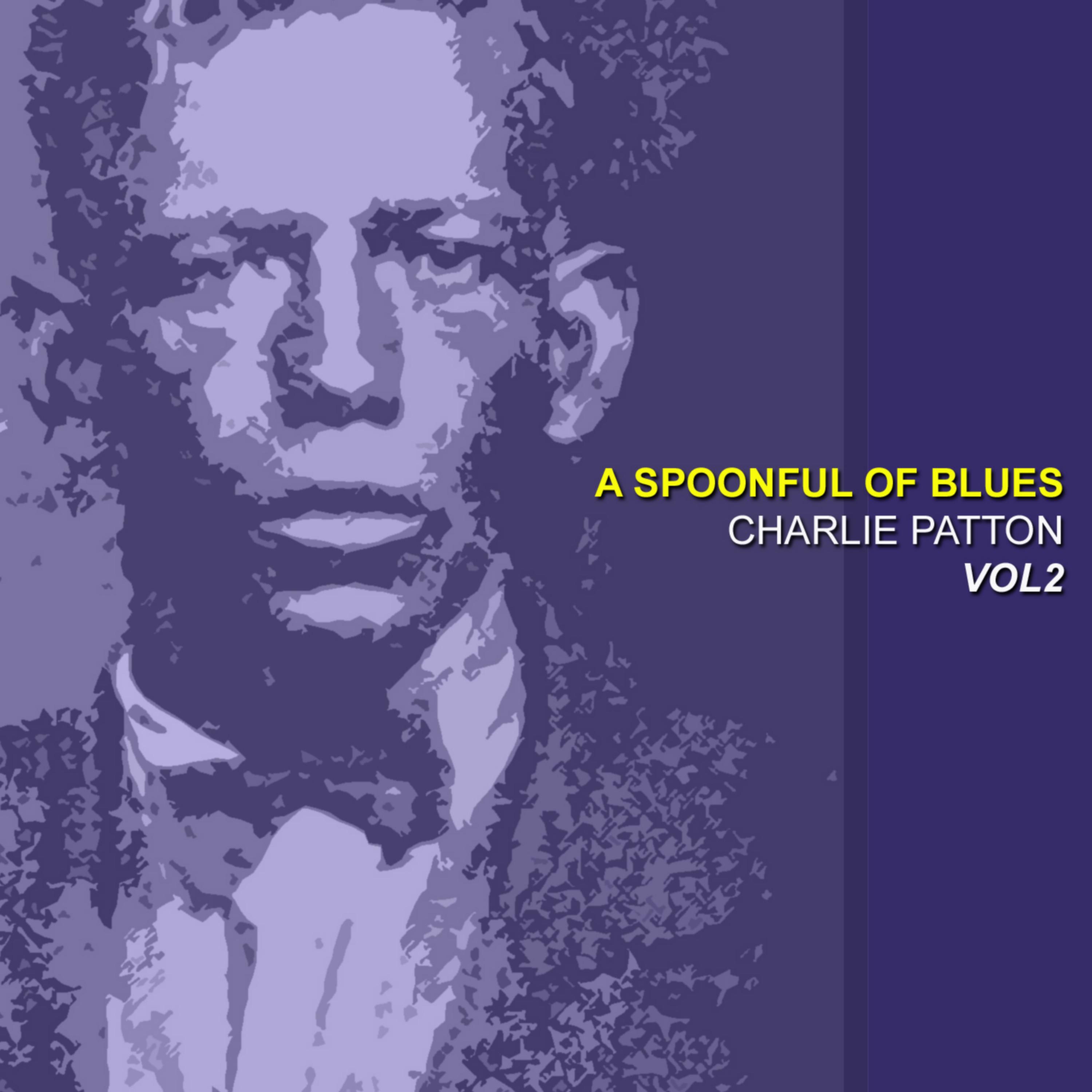 A Spoonful Blues, Vol. 2