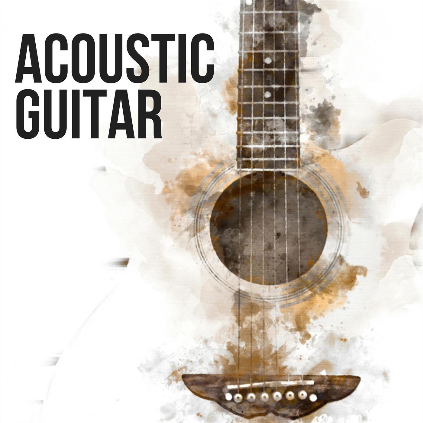 Acoustic Guitar