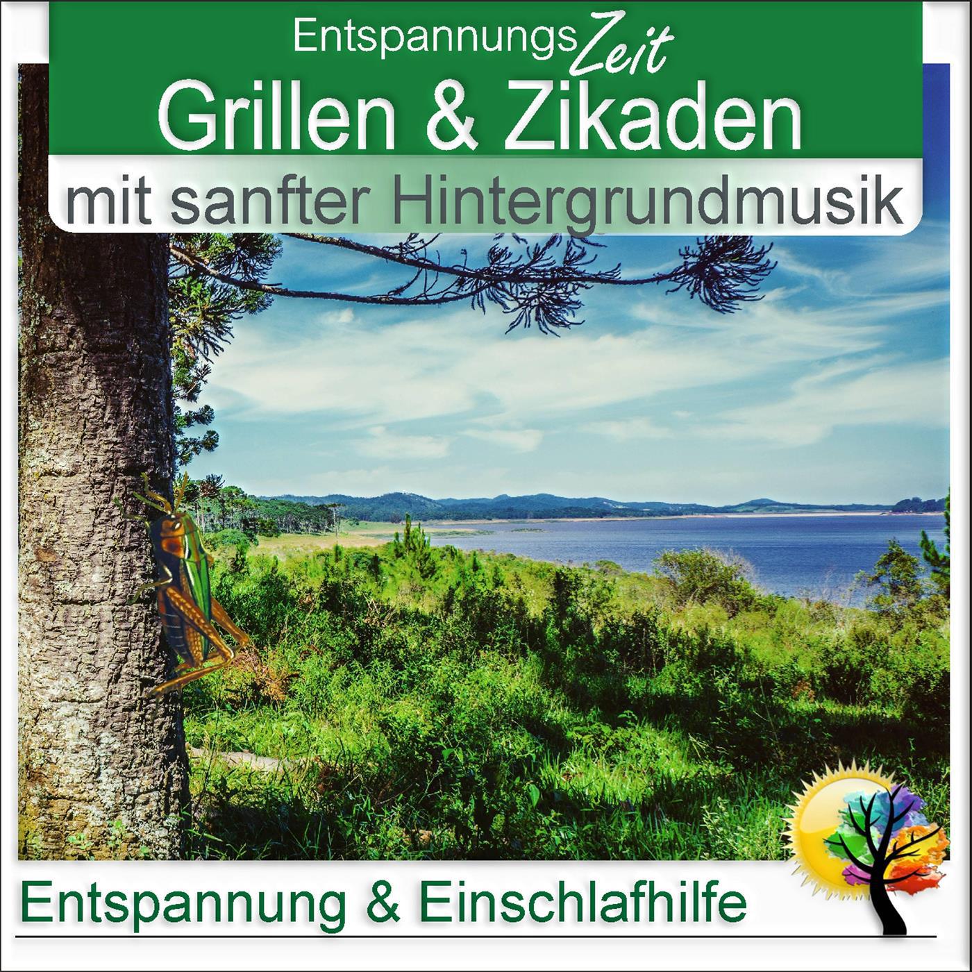 Grillen & Zikaden, nächtlicher Gesang im Urwald