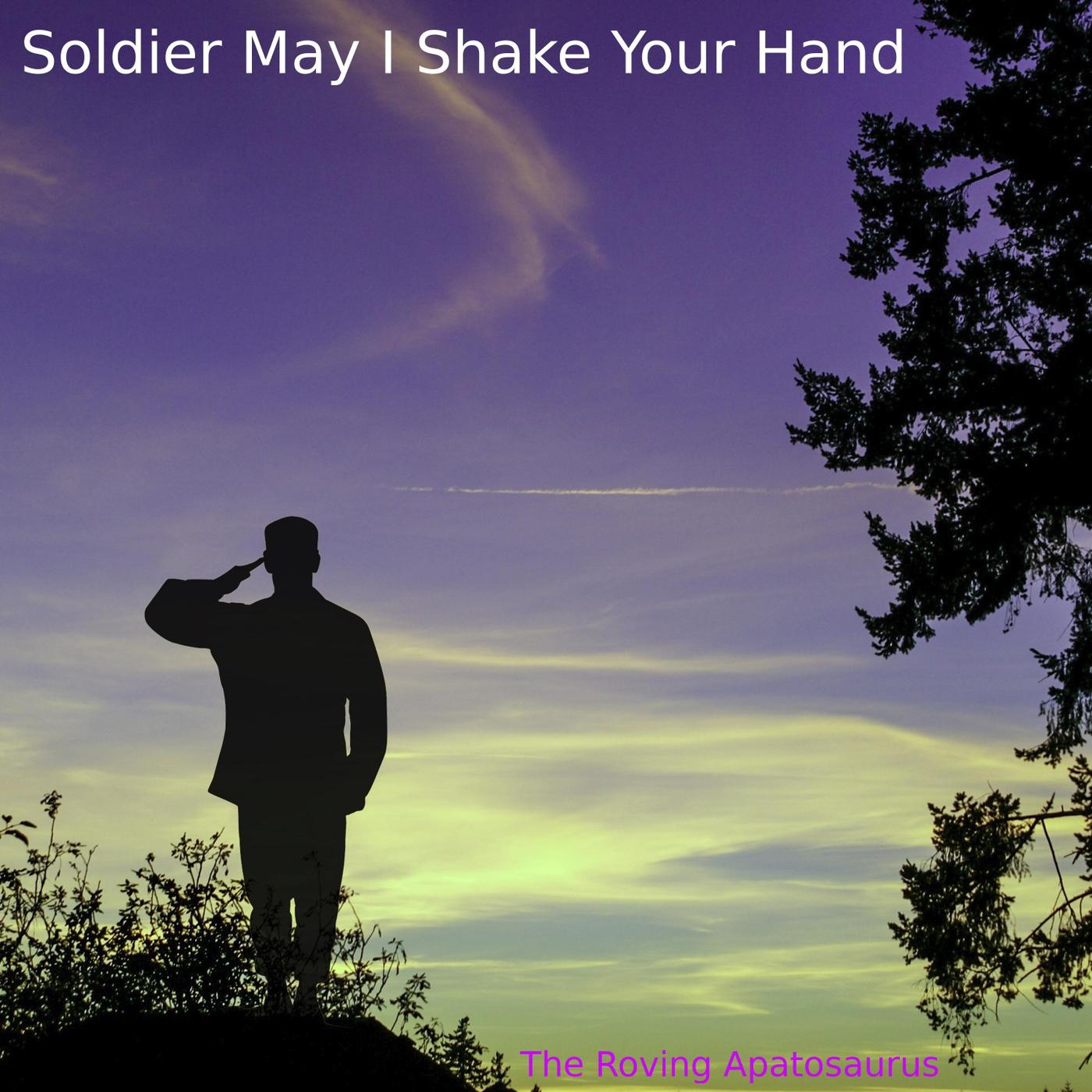 Soldier May I Shake Your Hand