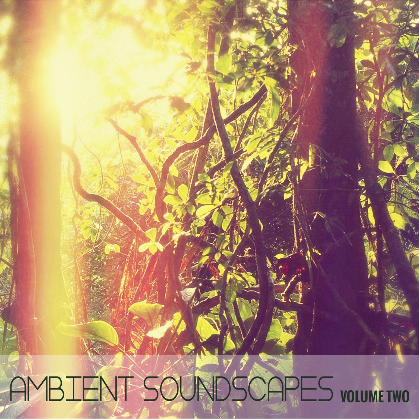 Ambient SoundScapes, Vol 2 - Michael Horsphol