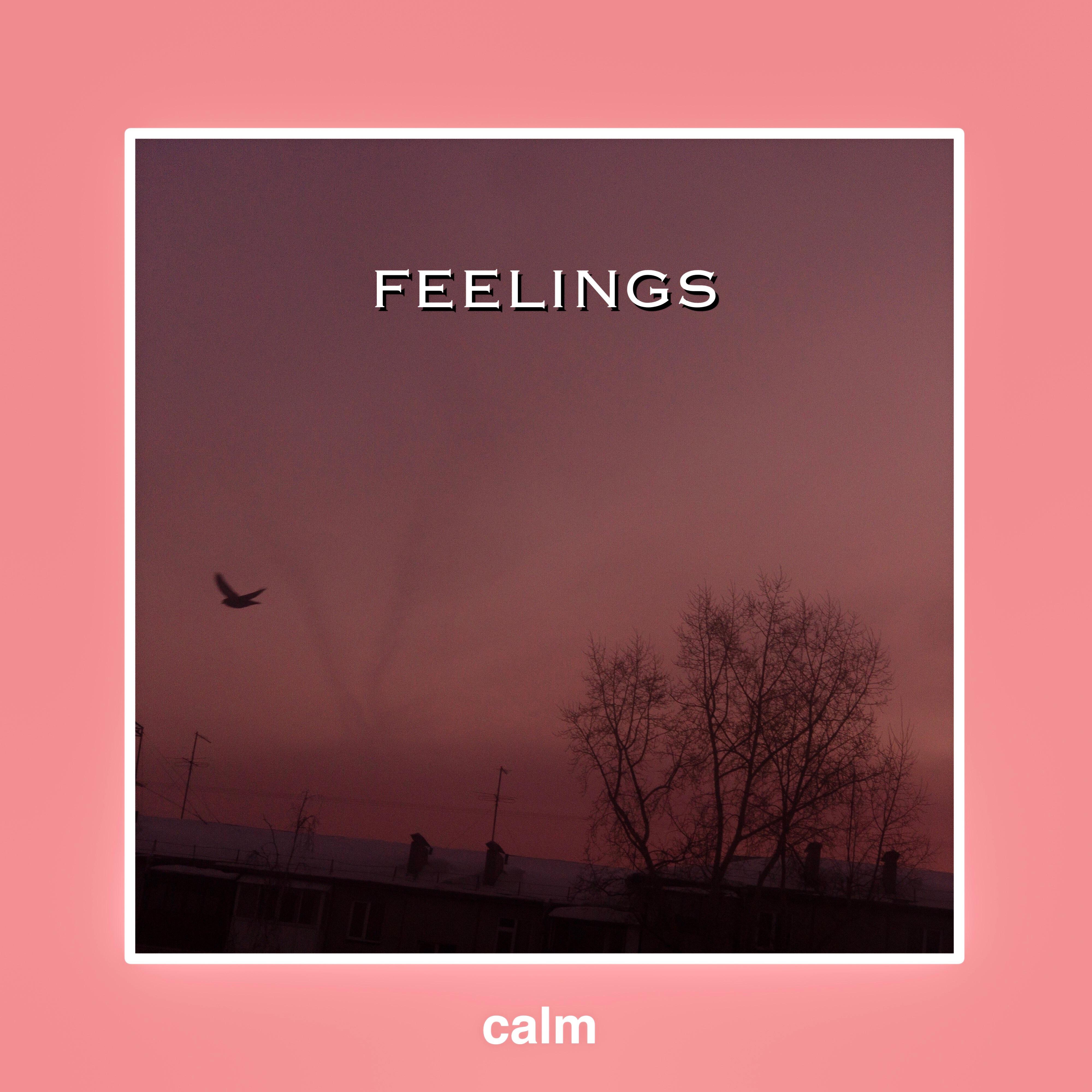 Feelings