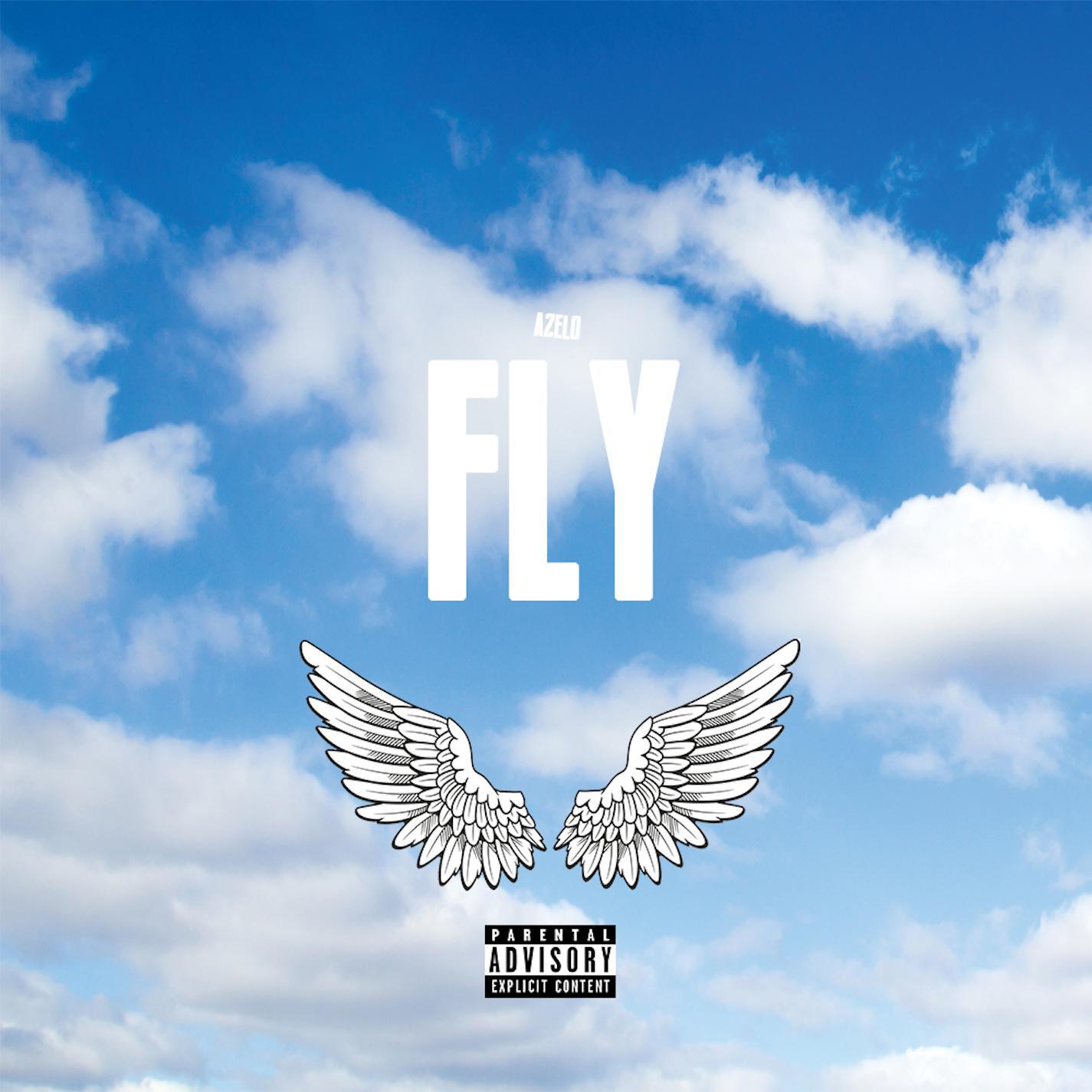 Fly