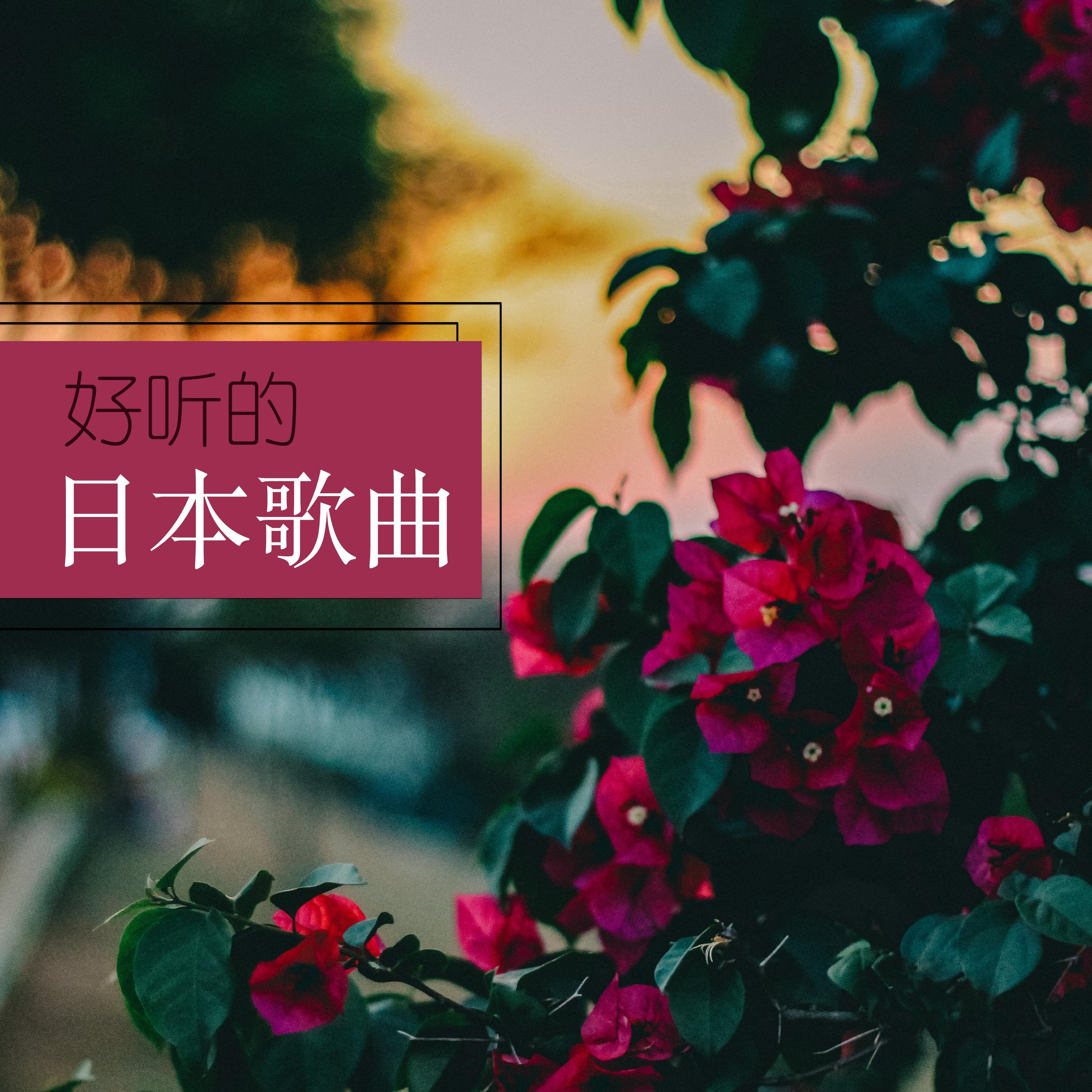 玫瑰花的故事