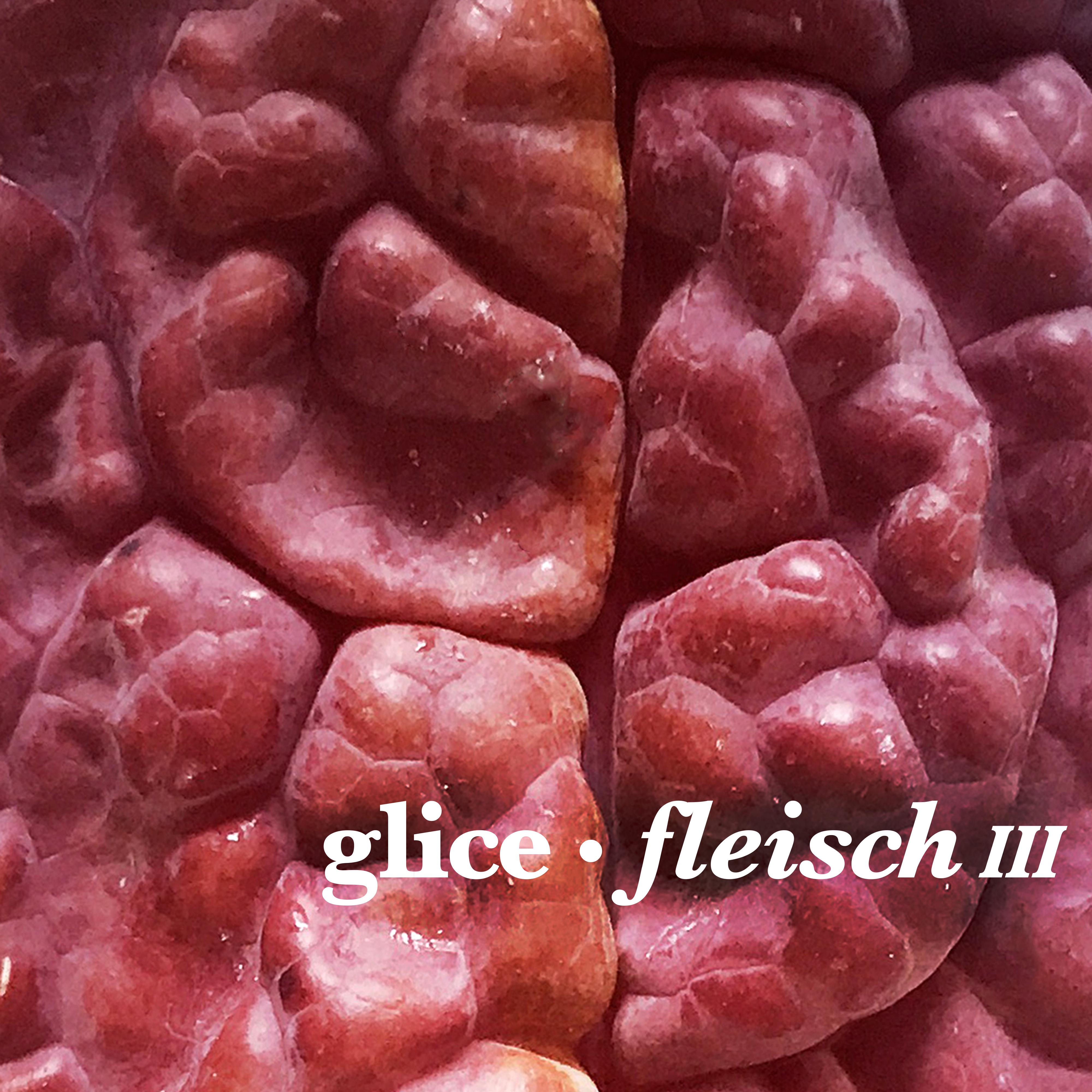 Fleisch III