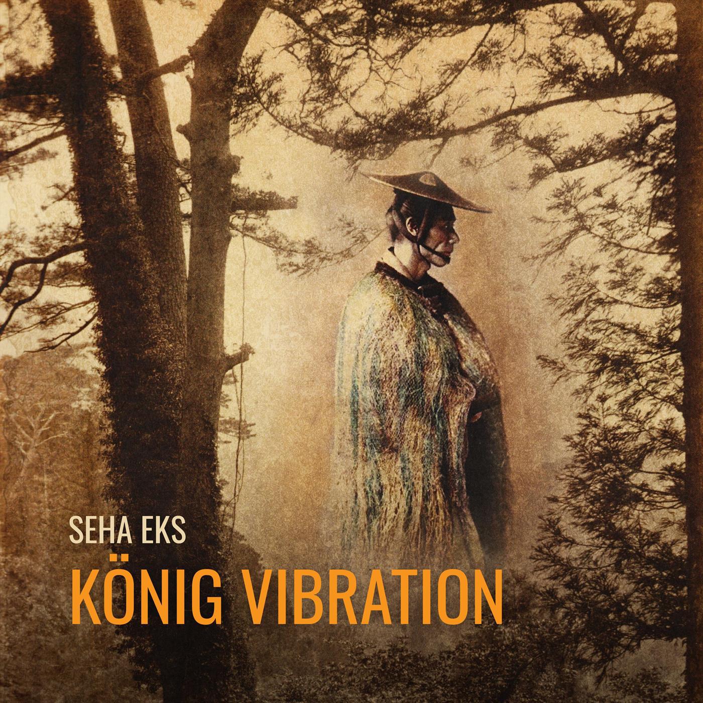 König Vibration