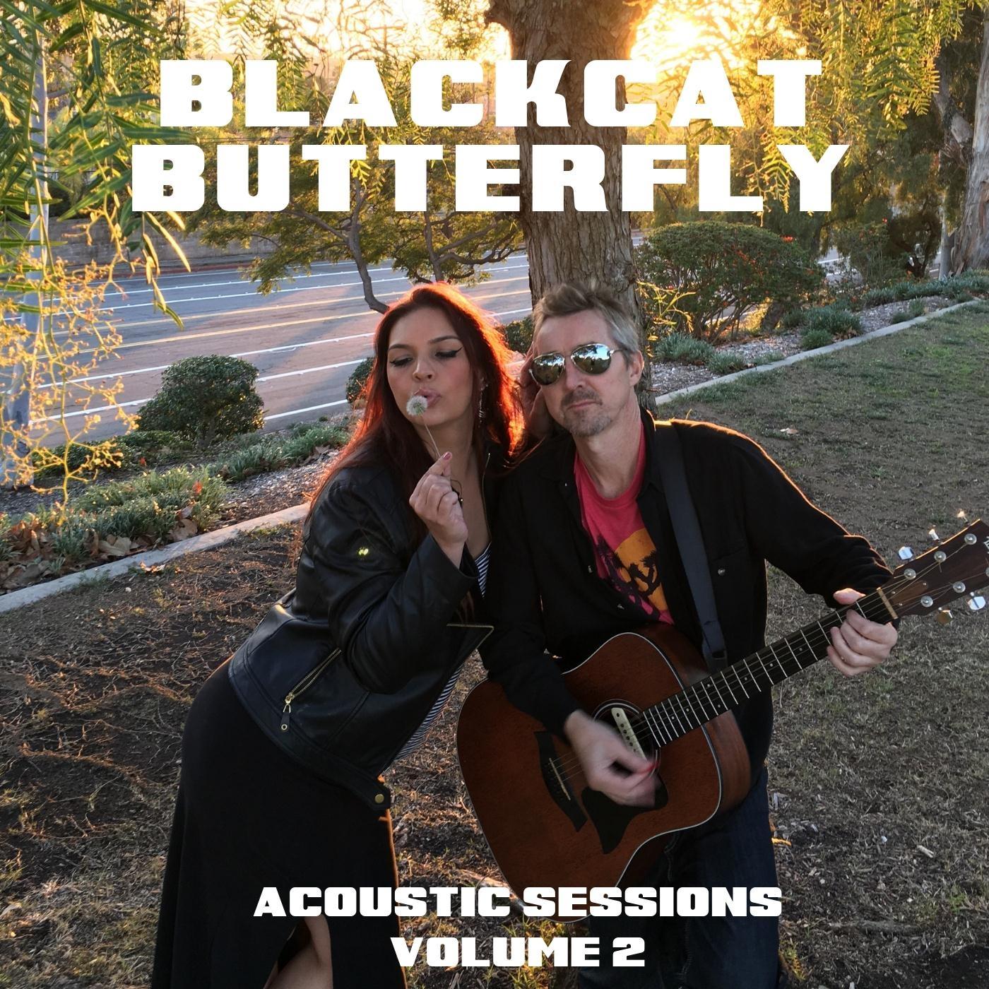 Acoustic Sessions, Vol. 2