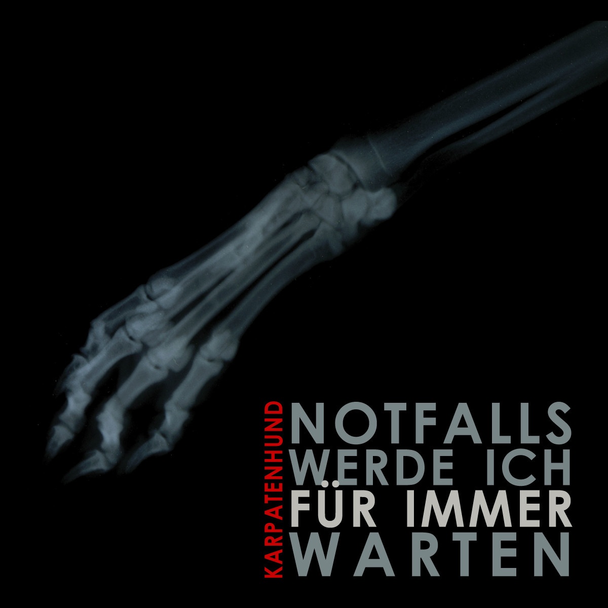 Notfalls Werde Ich Für Immer Warten - Monotoxic Remix