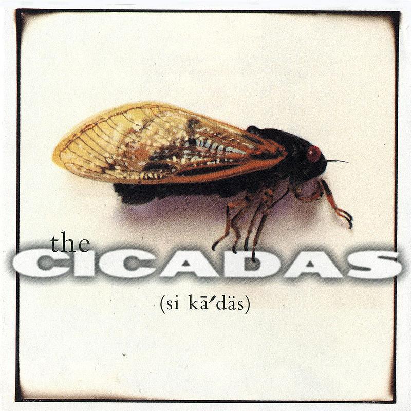 The Cicadas