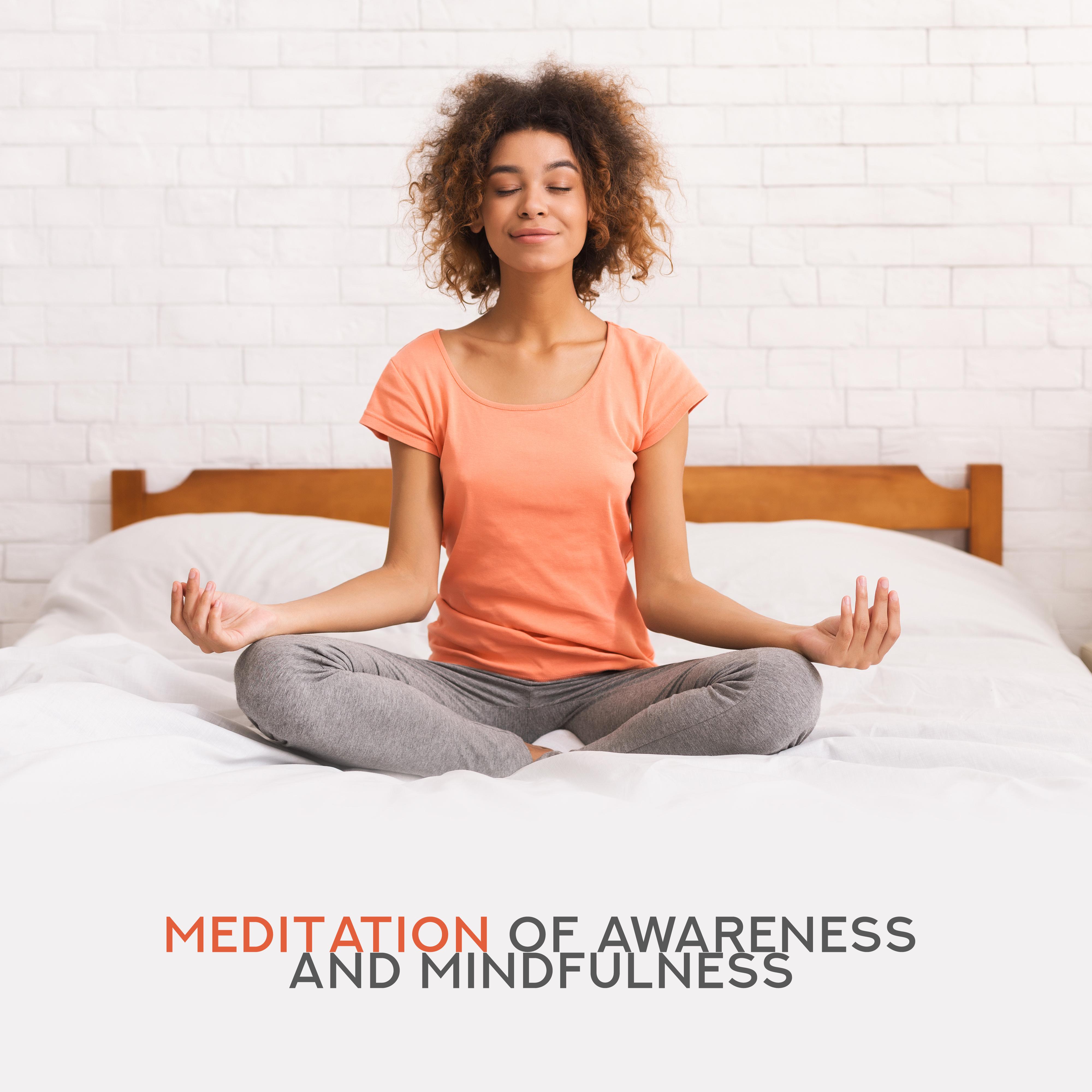 Meditation of Awareness and Mindfulness