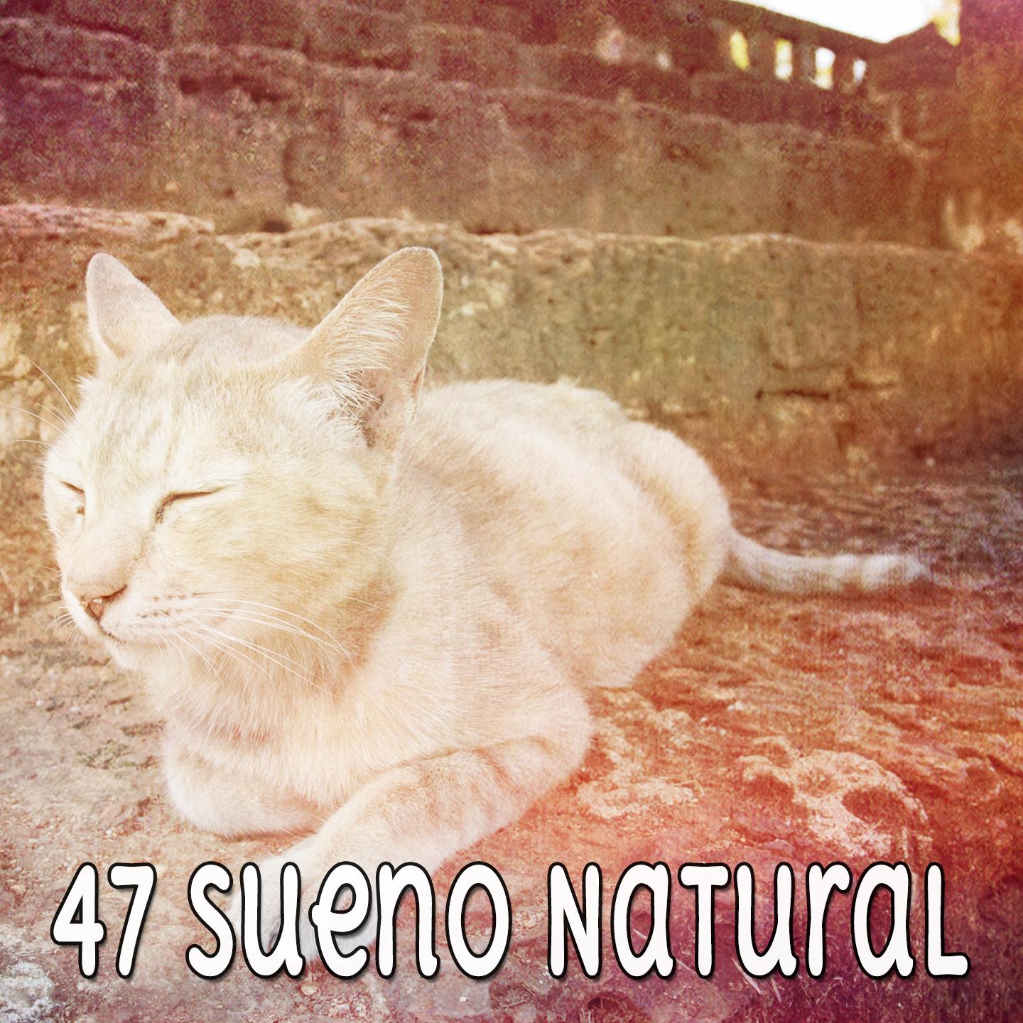 47 Sueno Natural