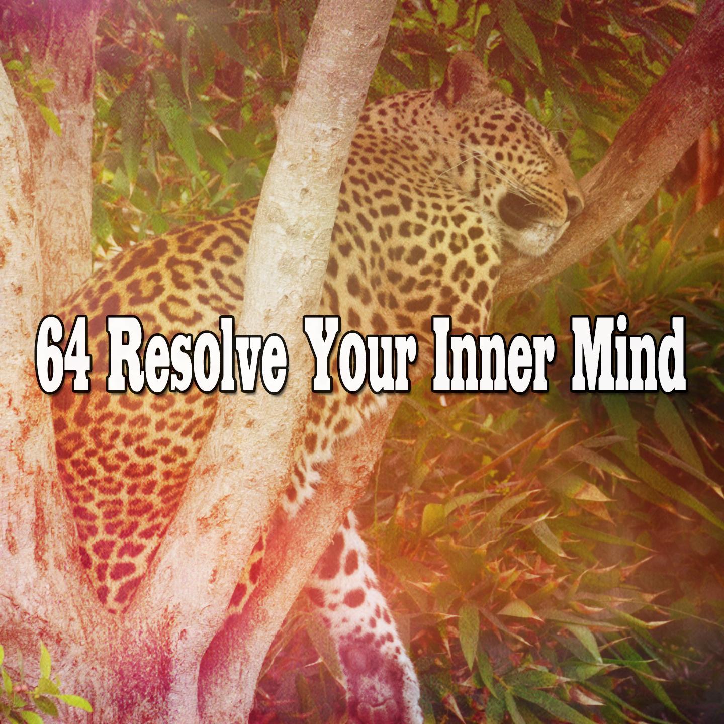 64 Resolve Your Inner Mind