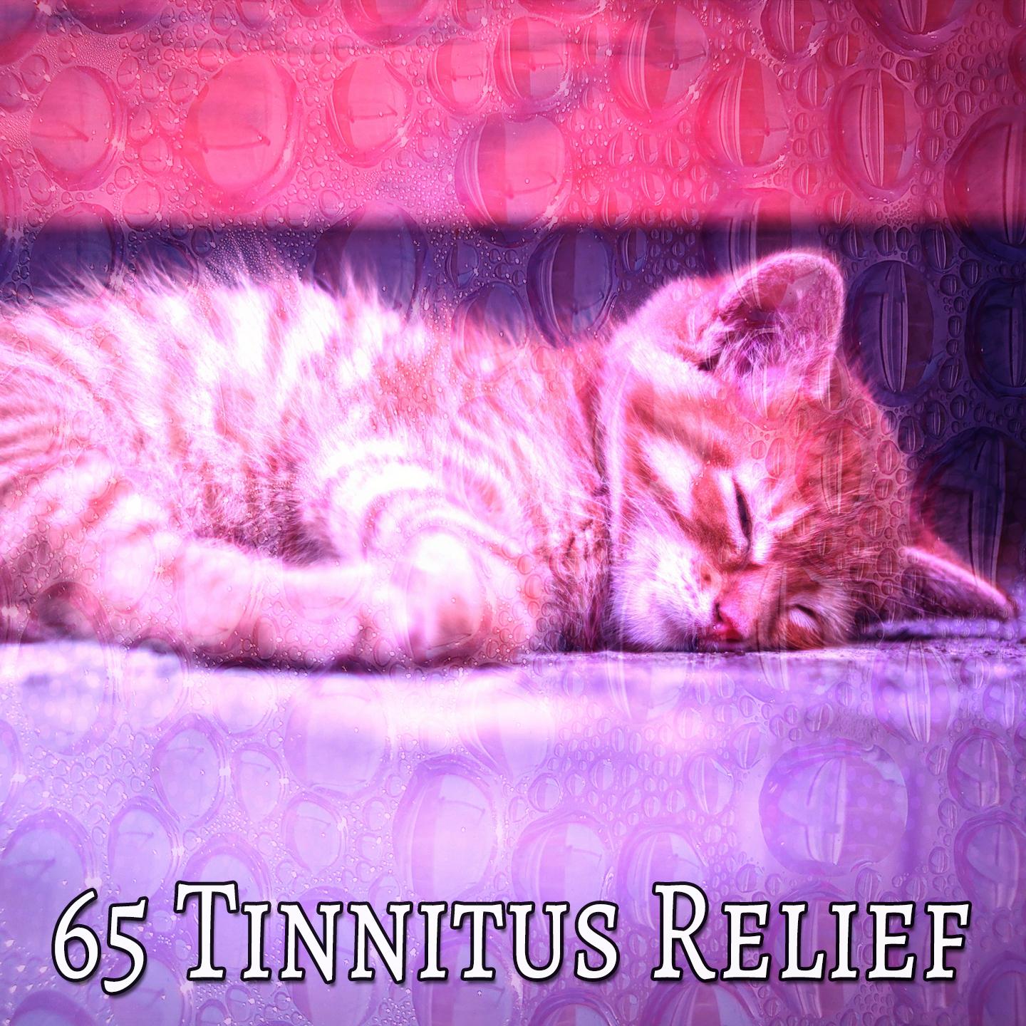 65 Tinnitus Relief