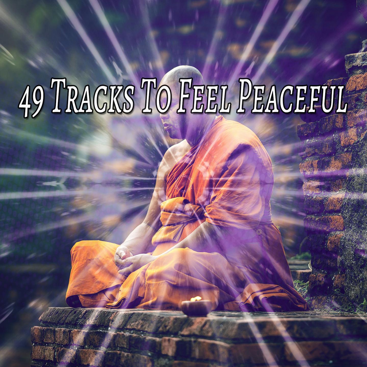 49 Tracks to Feel Peaceful