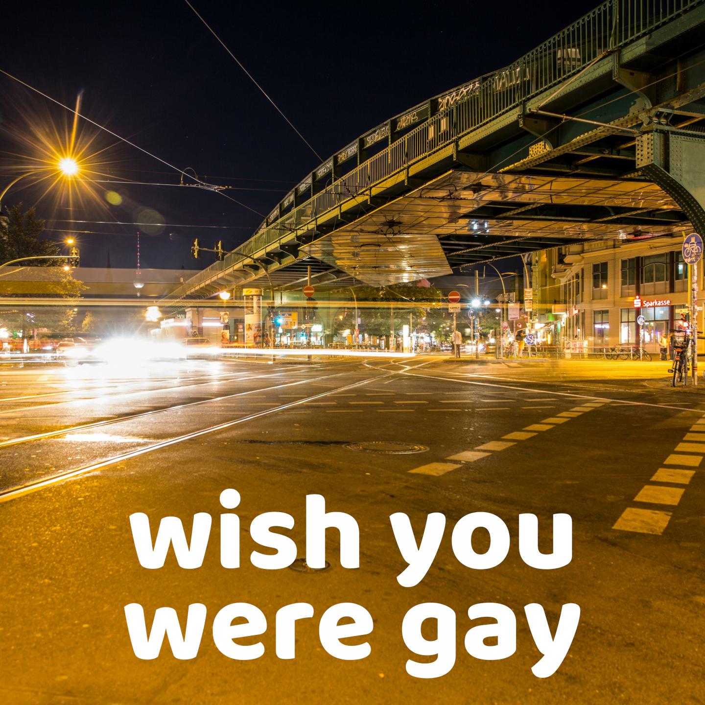 Wish You Were Gay