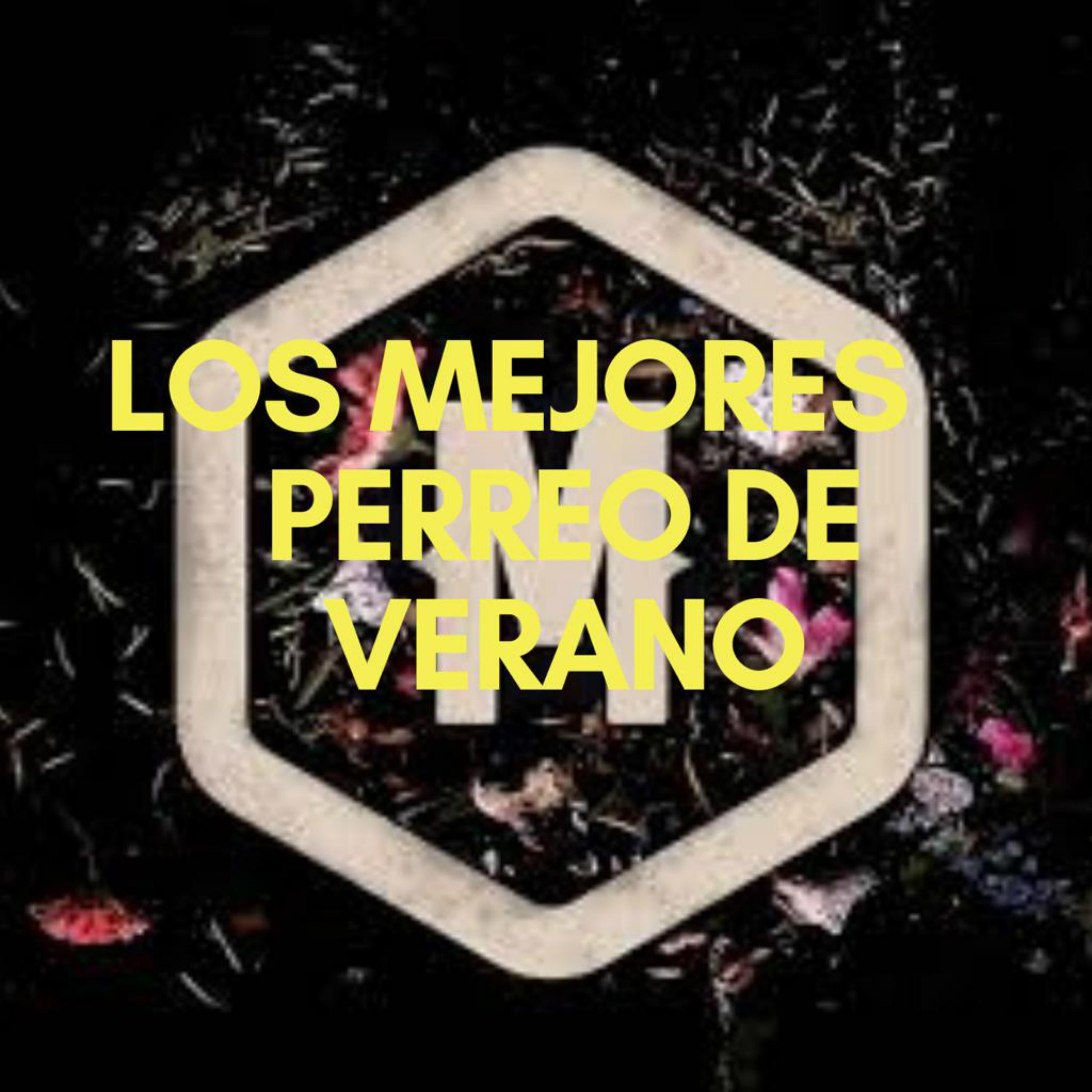 Los Mejores Perreo de Verano